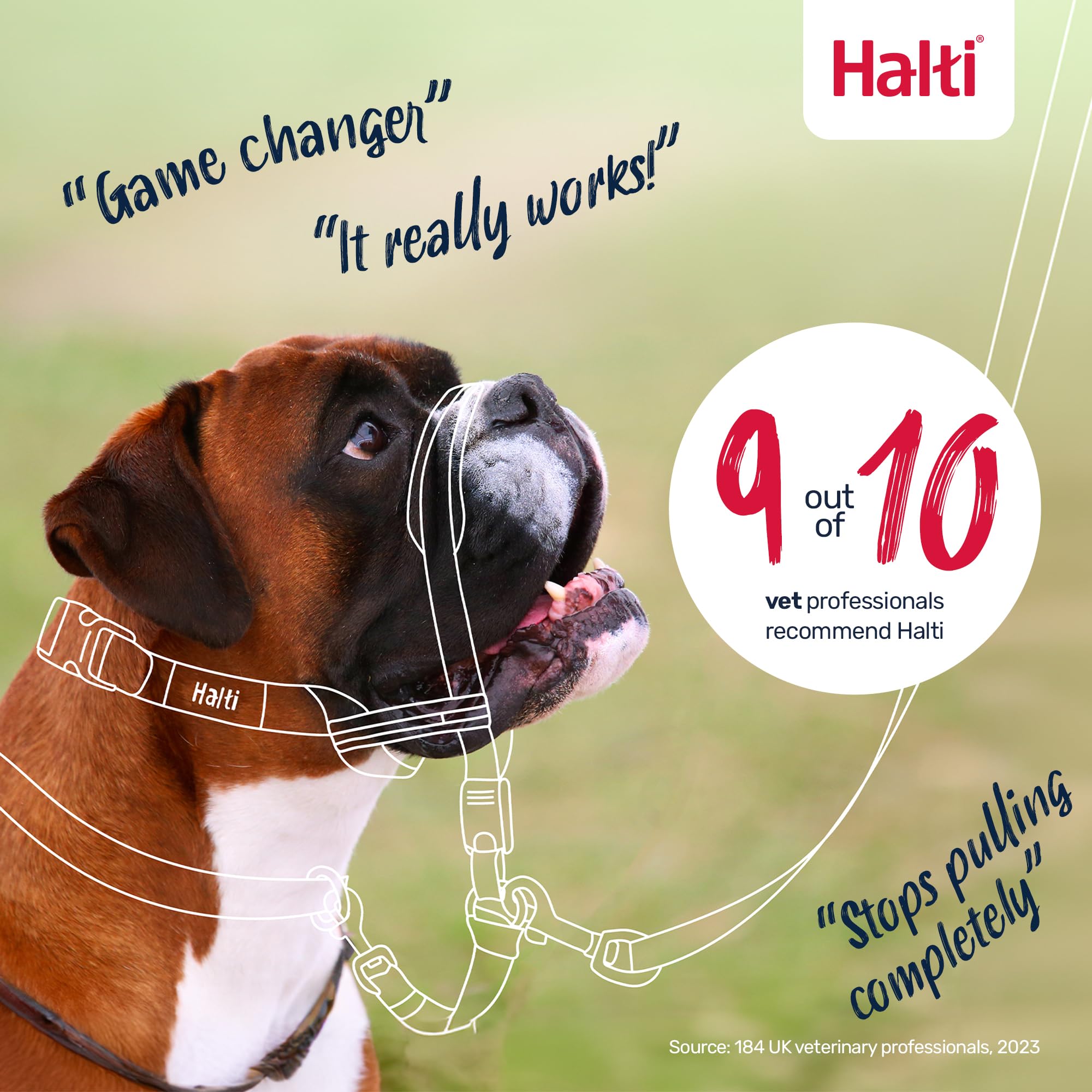 Halti Optifit Headcollar - Stops Pulling, Adjustable Fit for Dogs | Medium, Black 6