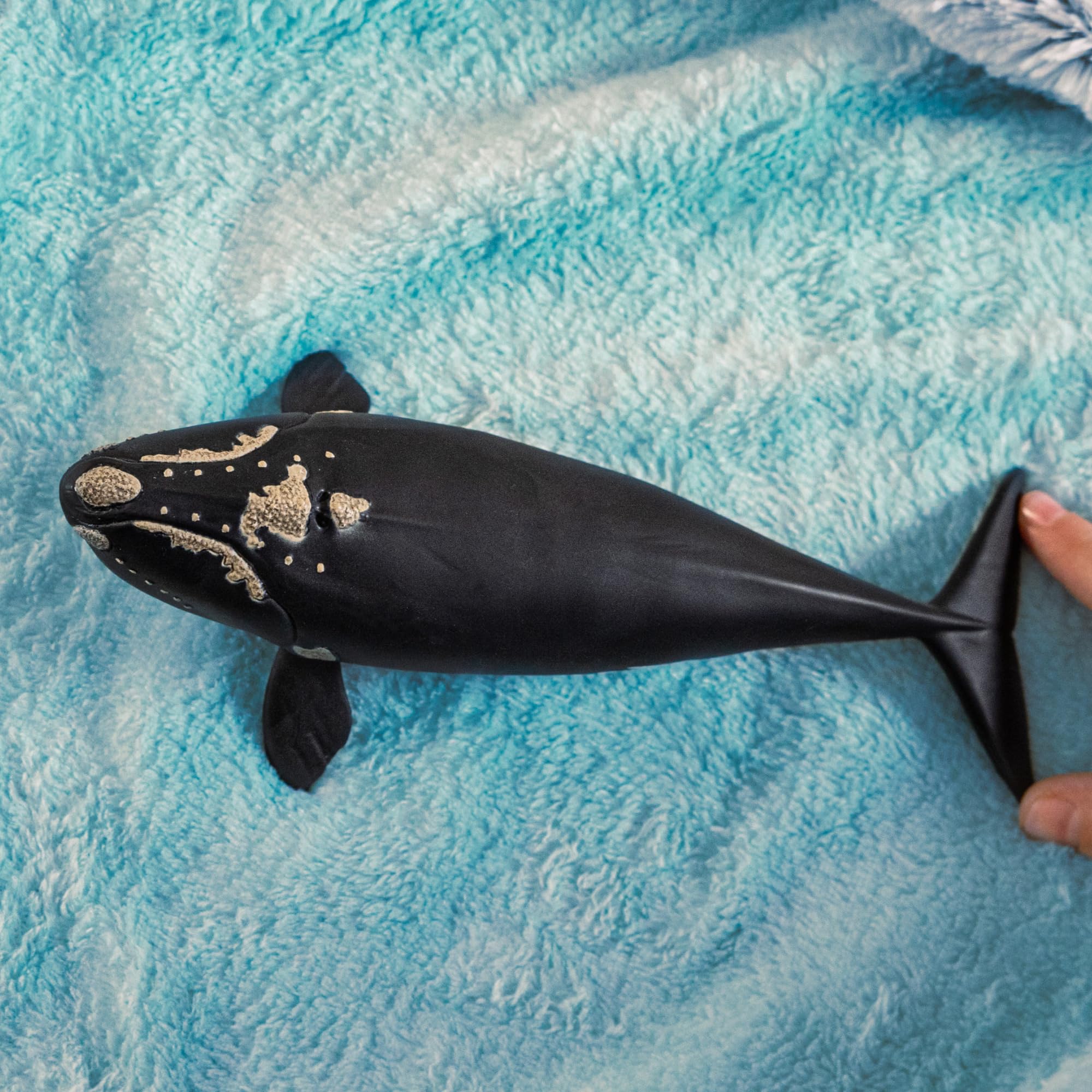 Schleich Wild Life Right Whale Figurine - Realistic 19cm Ocean Animal Toy for Kids 6