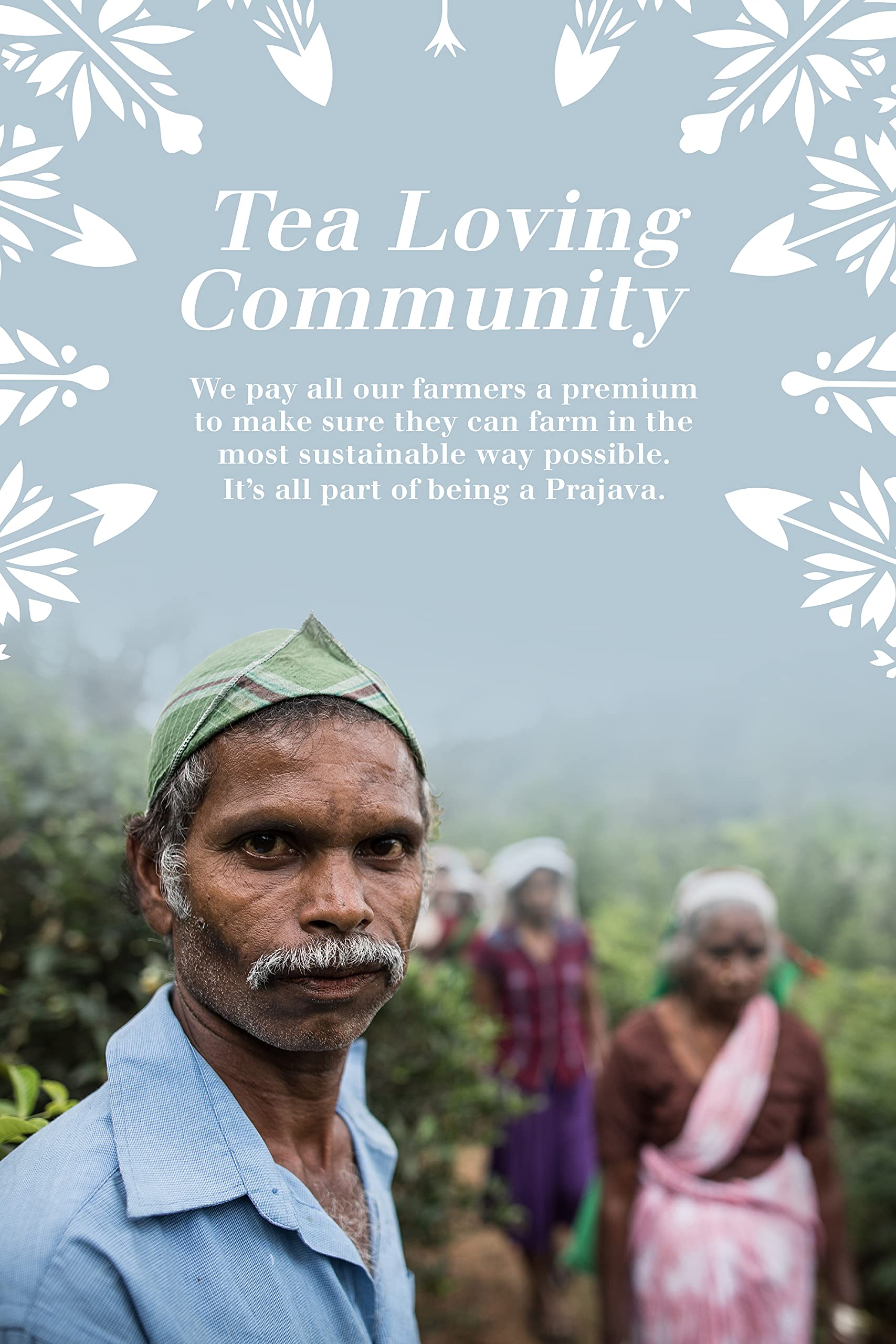 English Tea Shop Organic Wellness Me Collection - 36 Tea Bags in Gift Tin 10