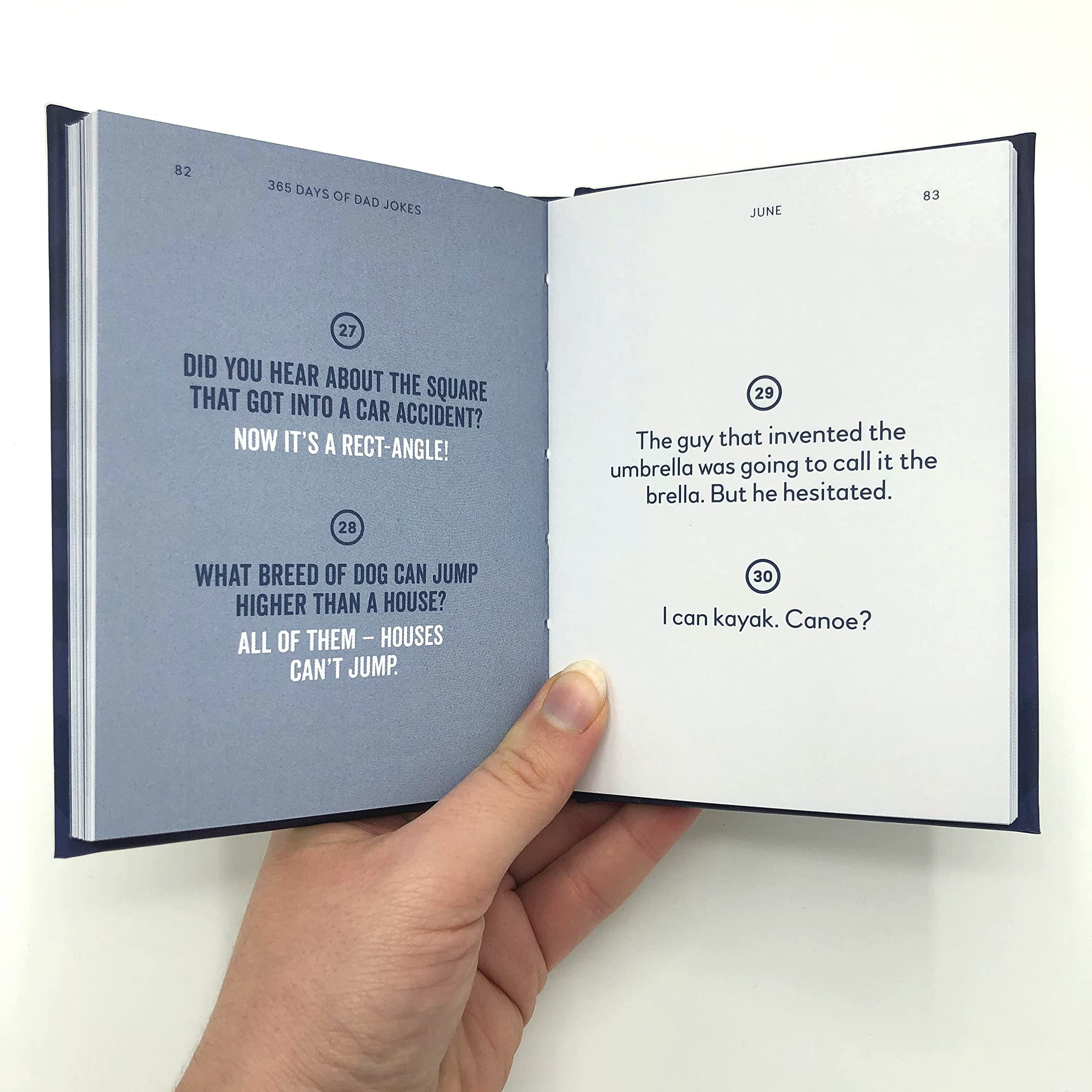 Summersdale 365 Days of Dad Jokes - Humour Book | 160 Pages | Hardcover 4