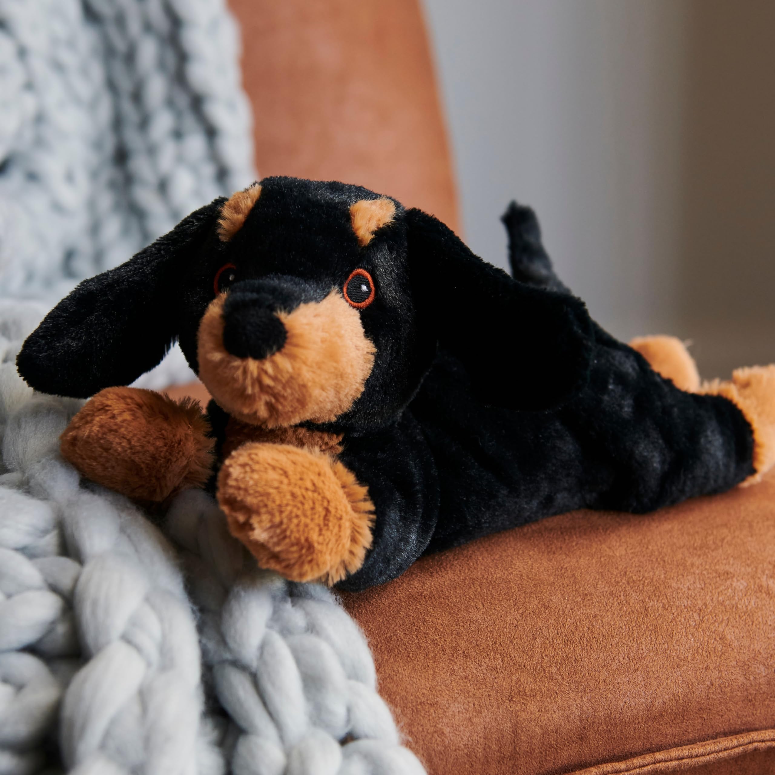 Warmies Junior Dachshund Plush - Microwavable Lavender Scented Heatable Toy (9") 8