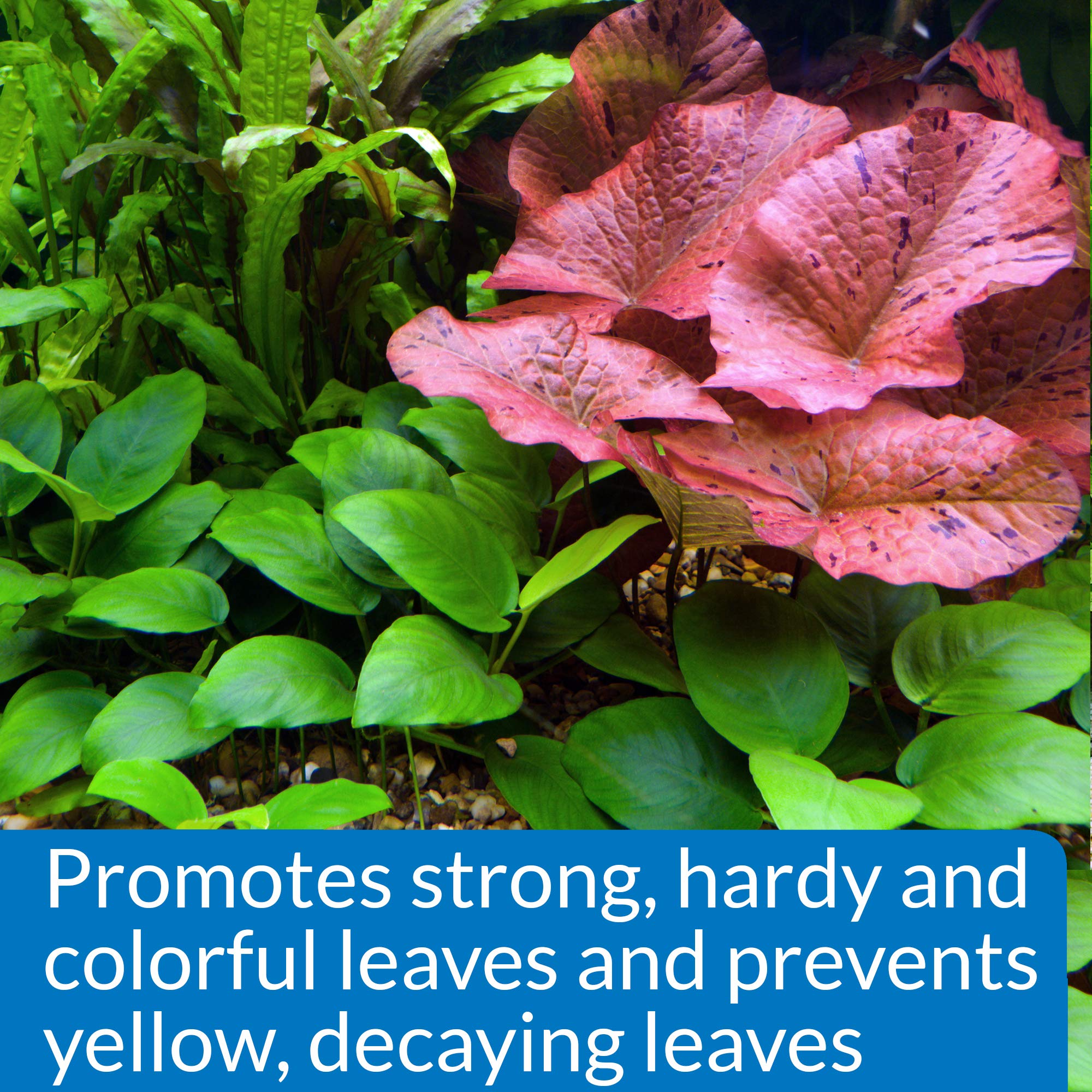 API Leaf Zone Plant Fertilizer - Promotes Hardy, Colorful Leaves | 473 ml Liquid 4