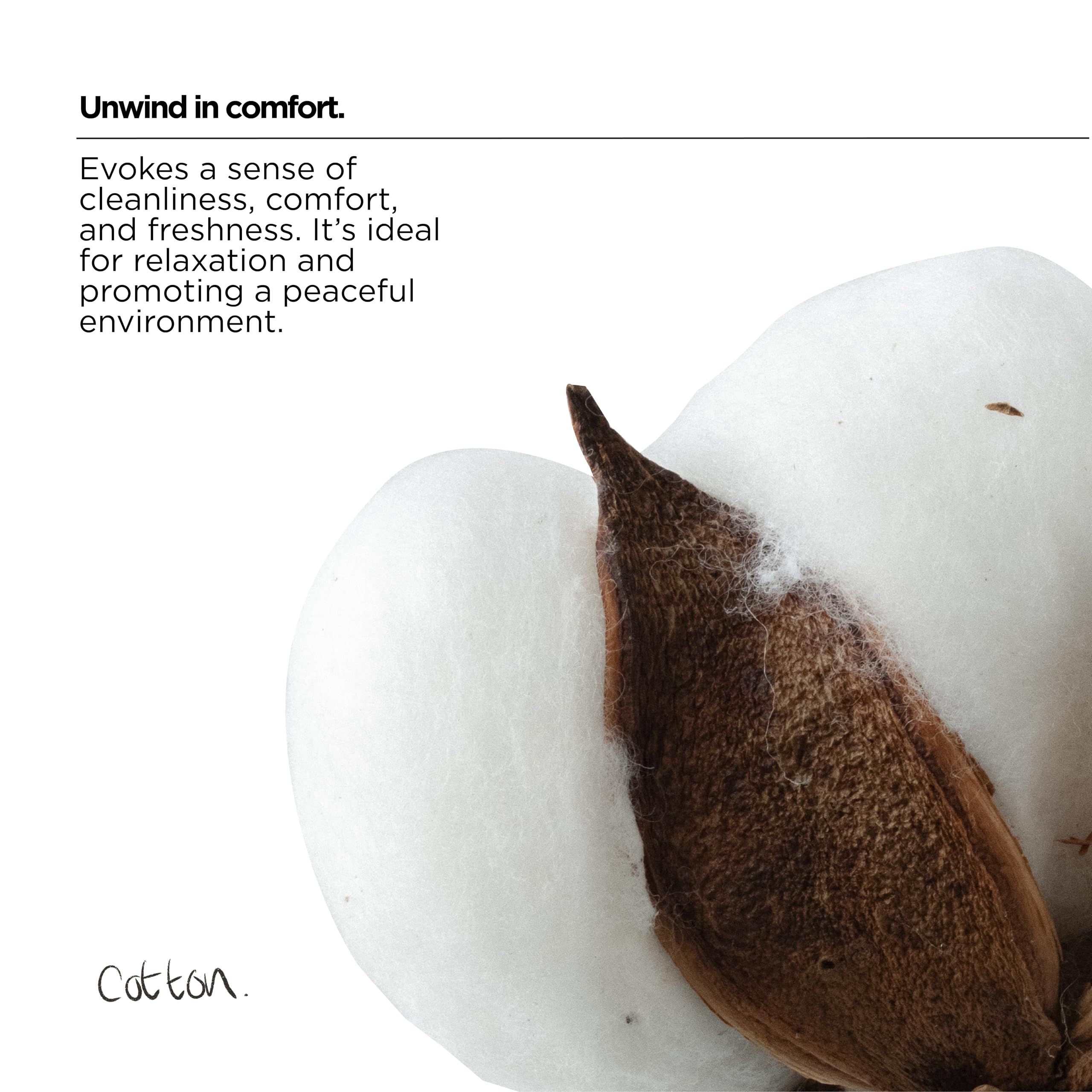 The Lab Co. - Relaxing Mood Non-Bio Concentrated Laundry Detergent 1L 7