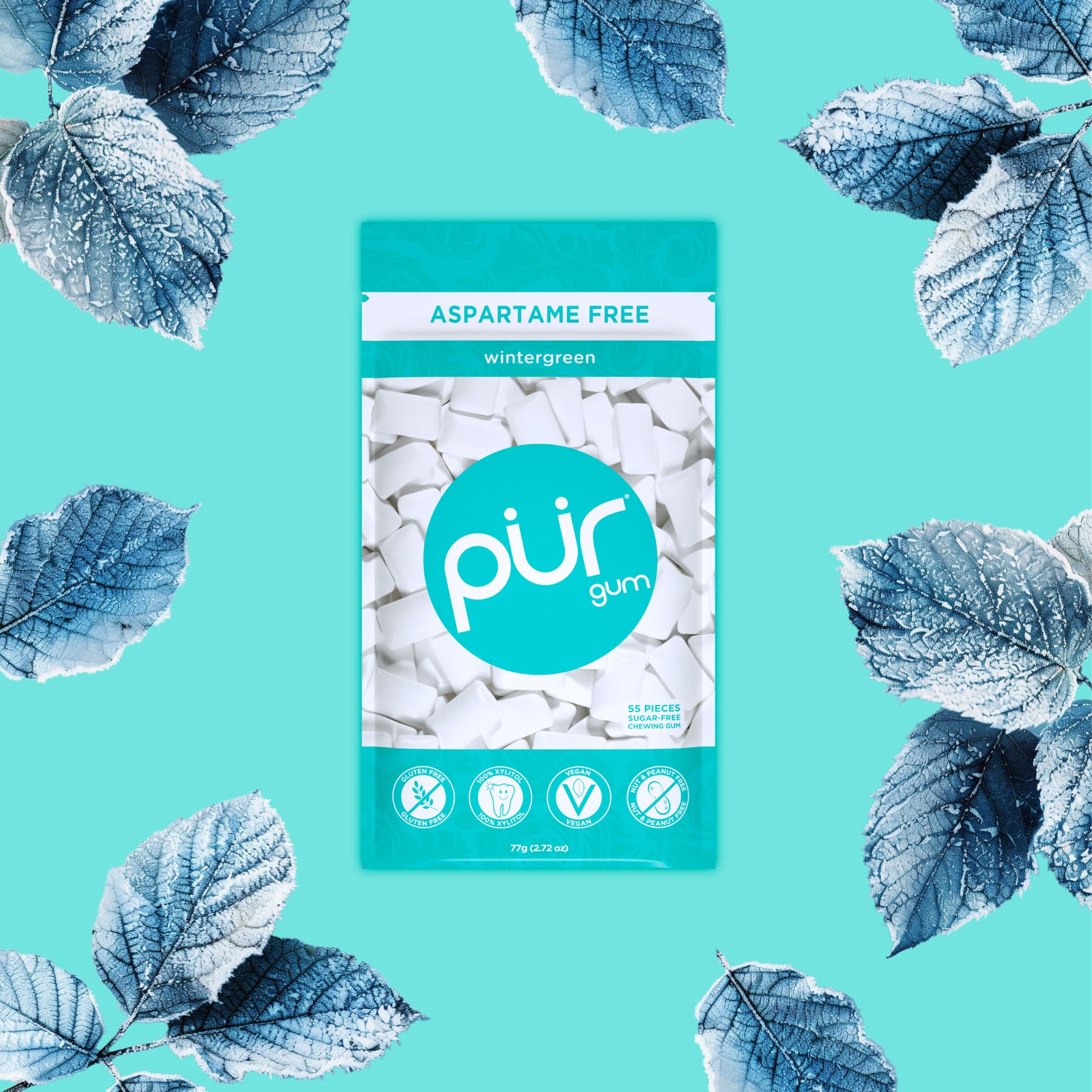PUR - Natural Wintergreen Sugar-Free Chewing Gum (55 Pieces, Pack of 6) 6