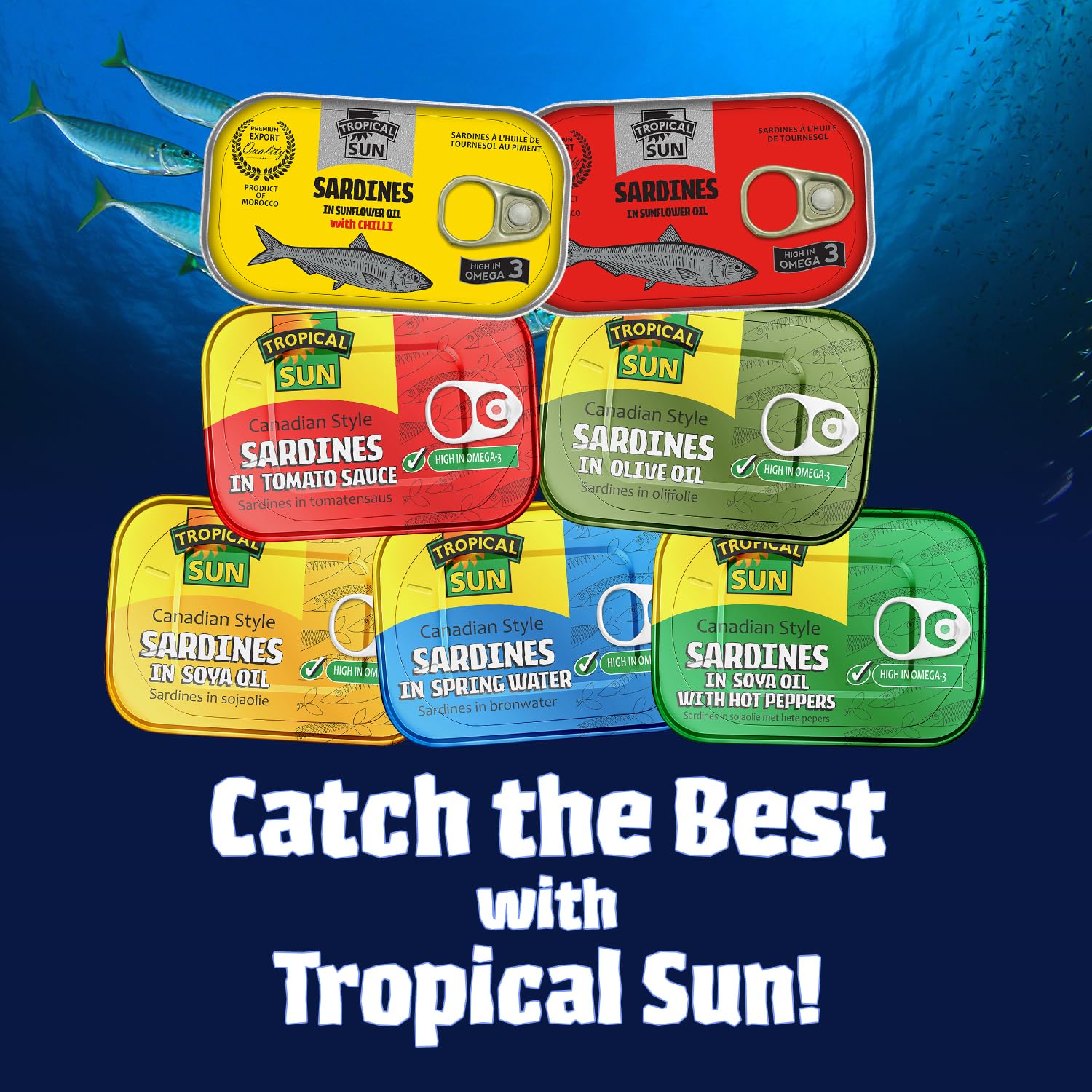 Tropical Sun Canadian Style Sardines in Tomato Sauce, 106g (Pack of 12) 5