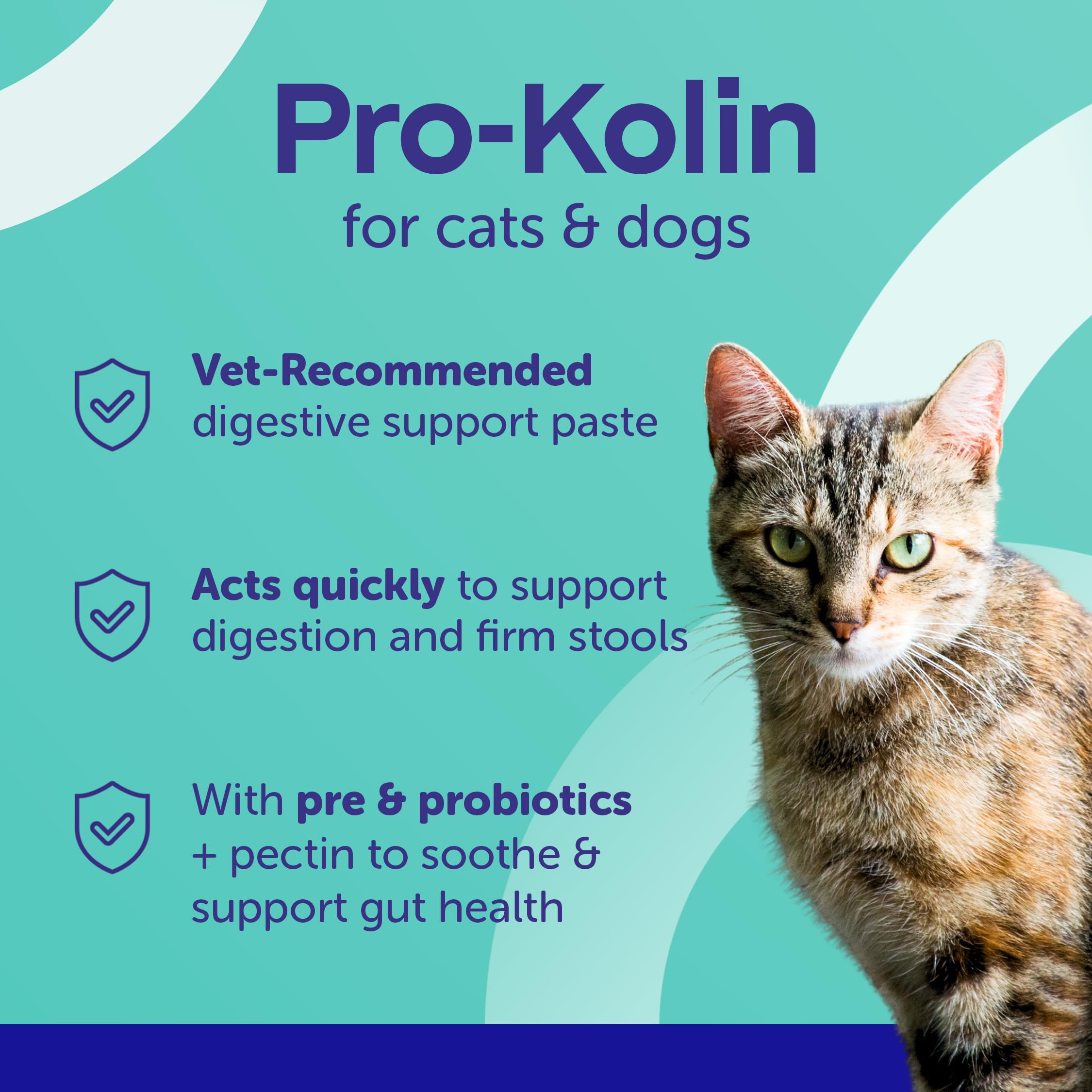 Protexin Pro-Kolin Probiotic Paste for Dogs & Cats - Digestive Support | 15ml | Beef Flavour