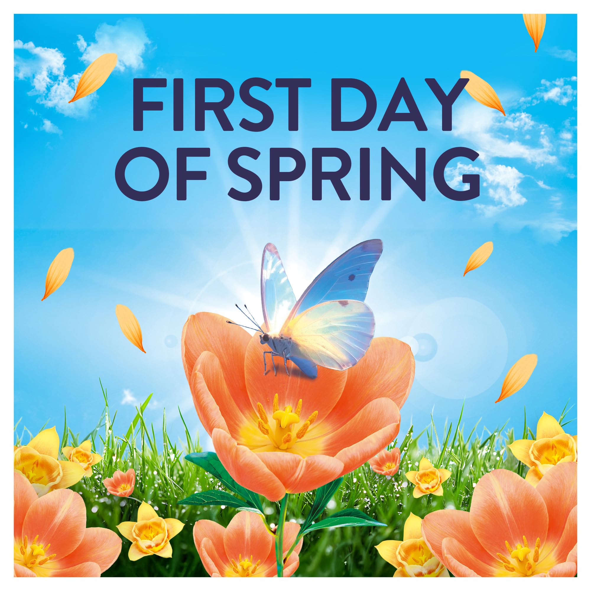 Lenor Outdoorable Liquid Fabric Softener - First Day of Spring Scent | 105 Washes | 1.47L 7