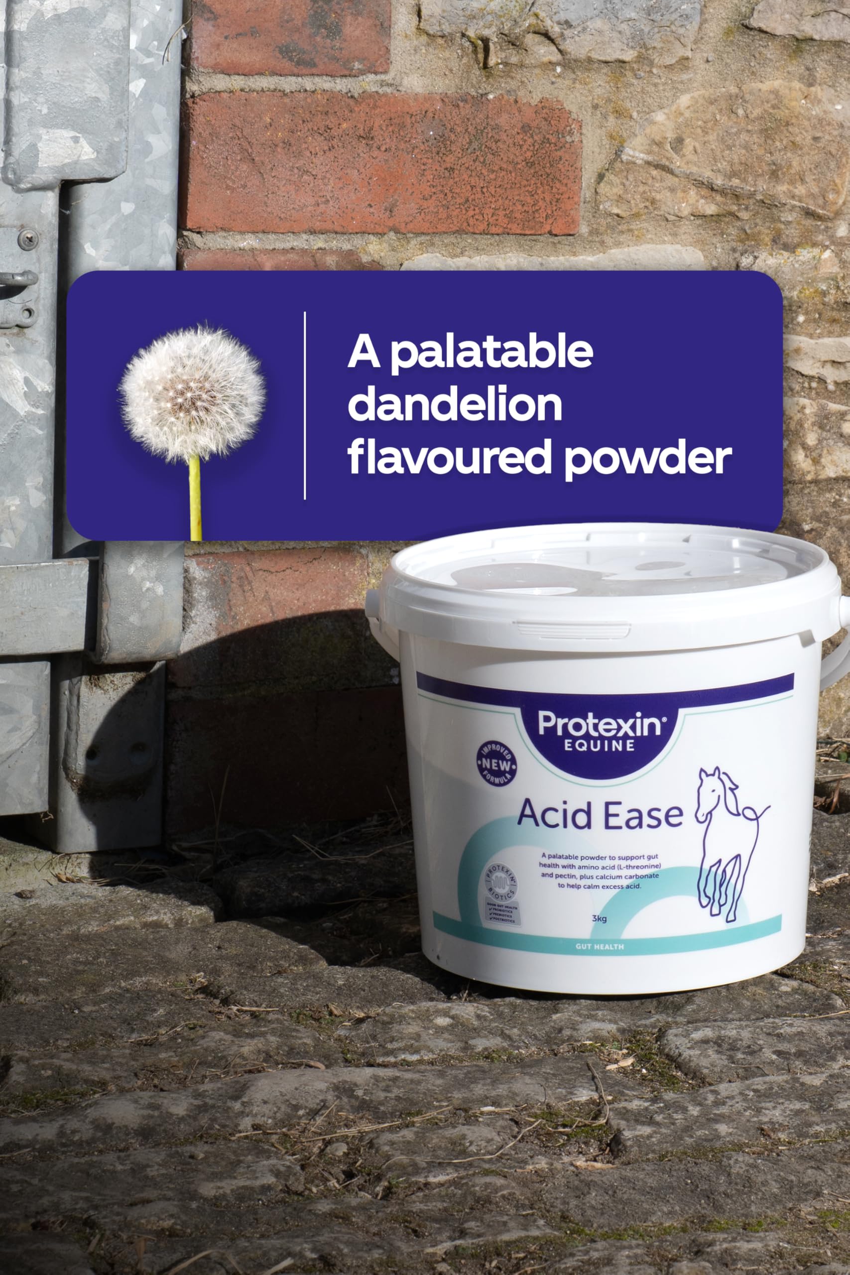 Protexin Equine Premium Acid Ease - Buffers Excess Stomach Acid | 1.5 kg Powder 6