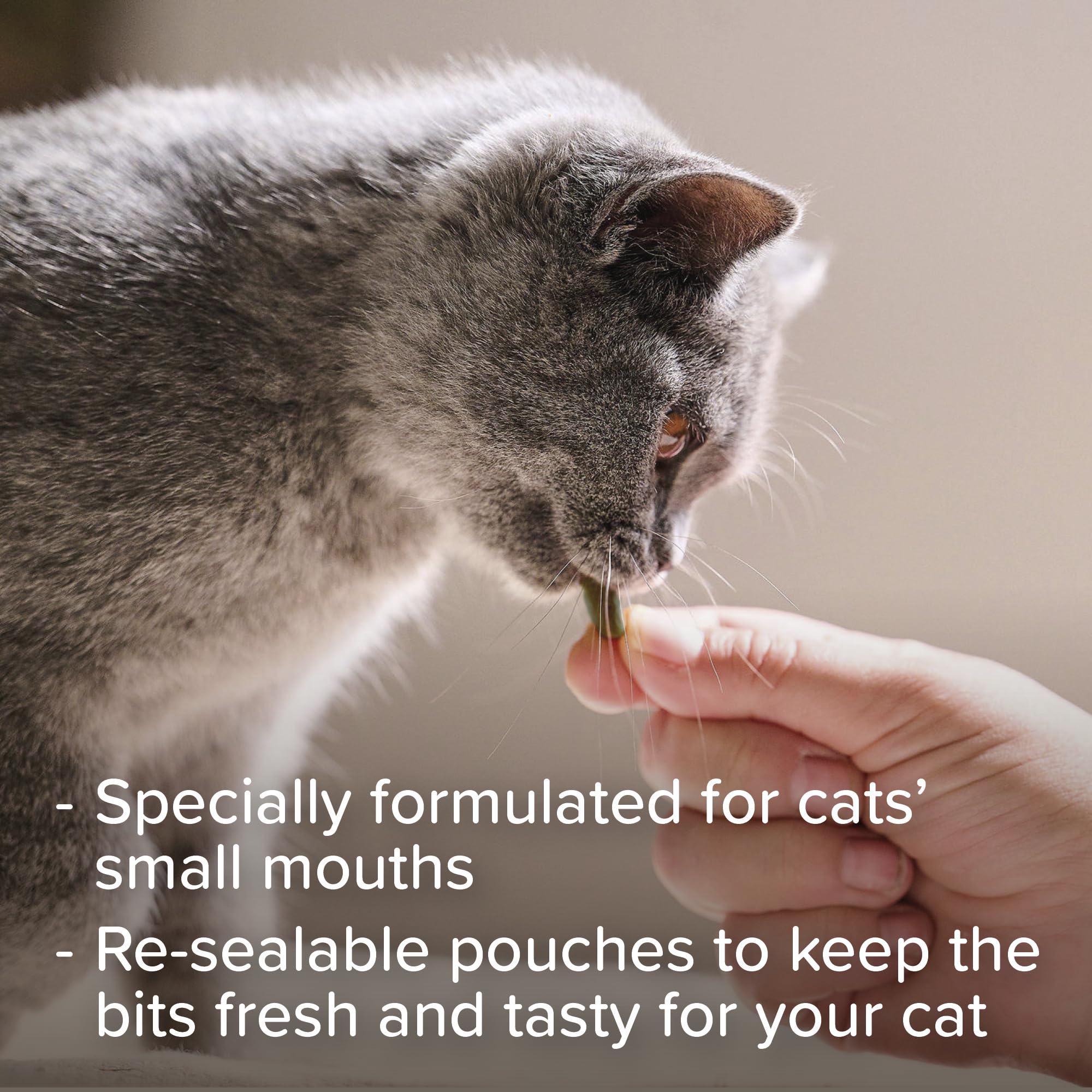 Beaphar Dental Easy Treats for Cats - Cleaner Teeth & Fresher Breath | Chlorophyll Added | All Breeds 4