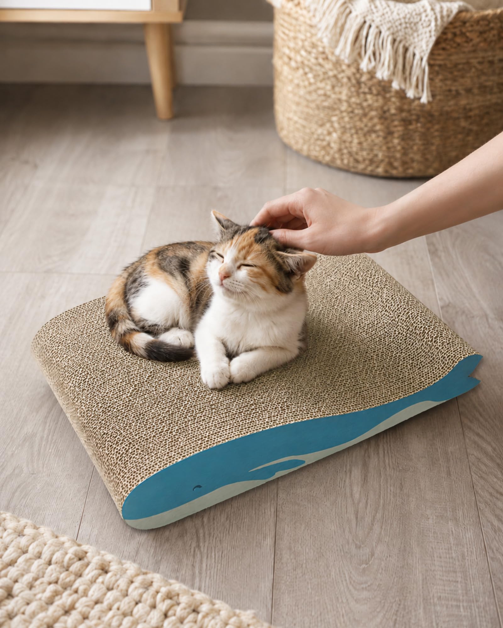 Dogat Cat Scratcher Board - 2 Pack | 42x30x6.5cm | Corrugated Cardboard 7