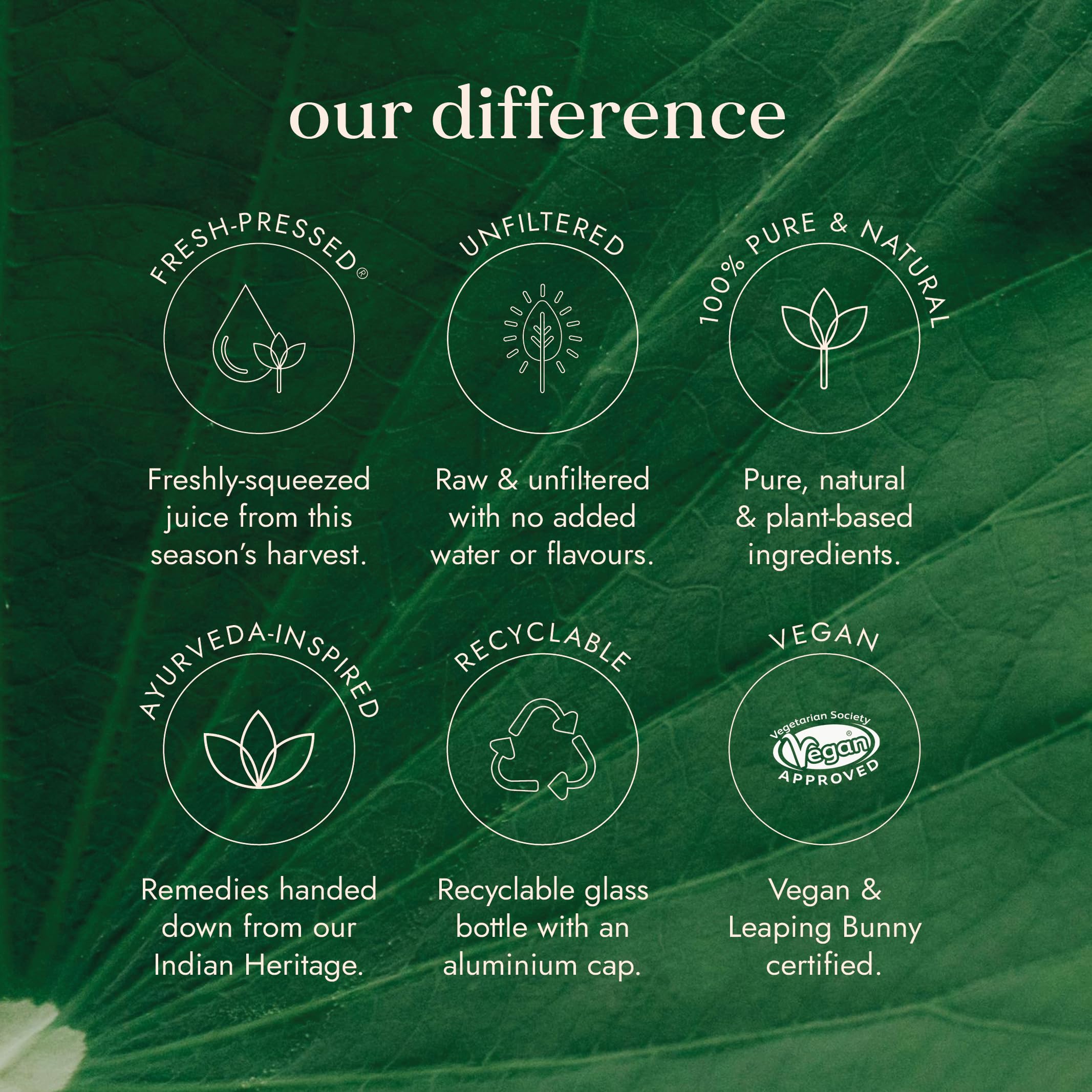 Fushi Amla Saft 500ml | Kaltgepresster Indischer Stachelbeersaft | 100% Roh &amp; Ungefiltert 7