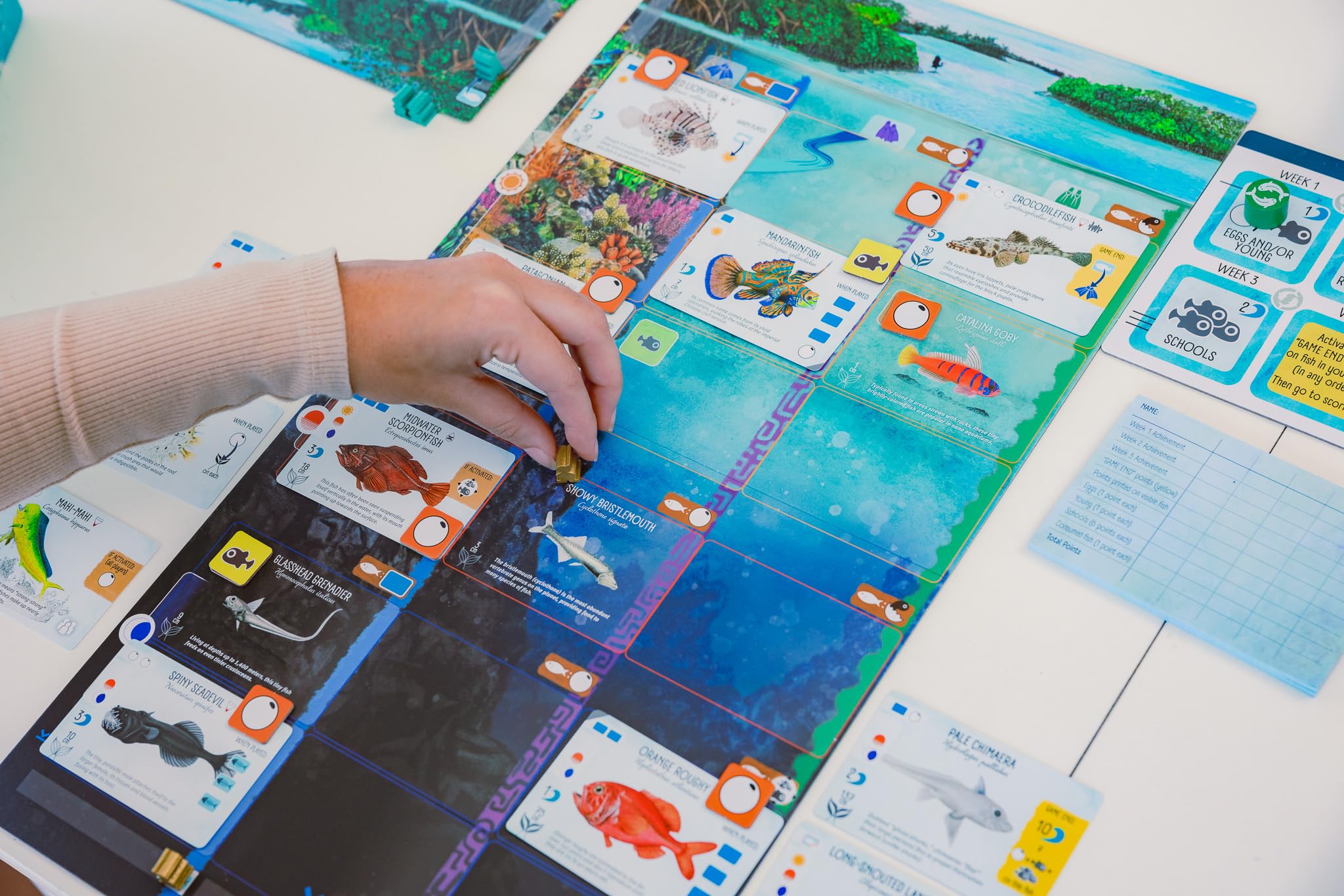 Stonemaier Games Finspan Board Game | Ages 10+ | 1-5 Players | 45-60 Minutes 7