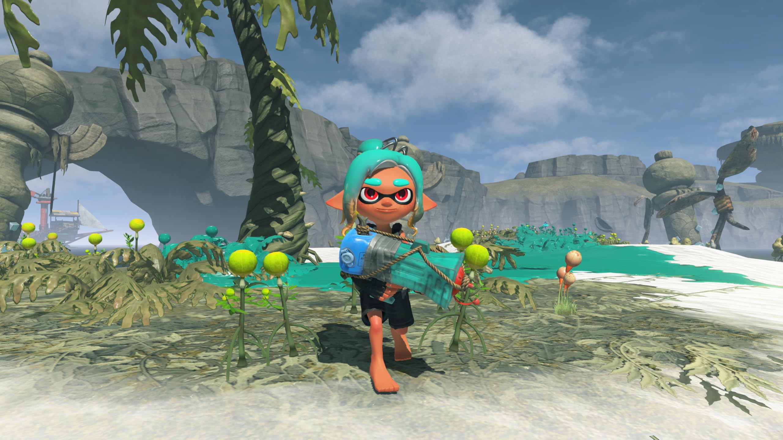Splatoon Raiders 4
