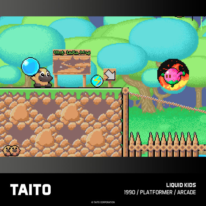 Taito Arcade 2 Collection - Evercade Cartridge