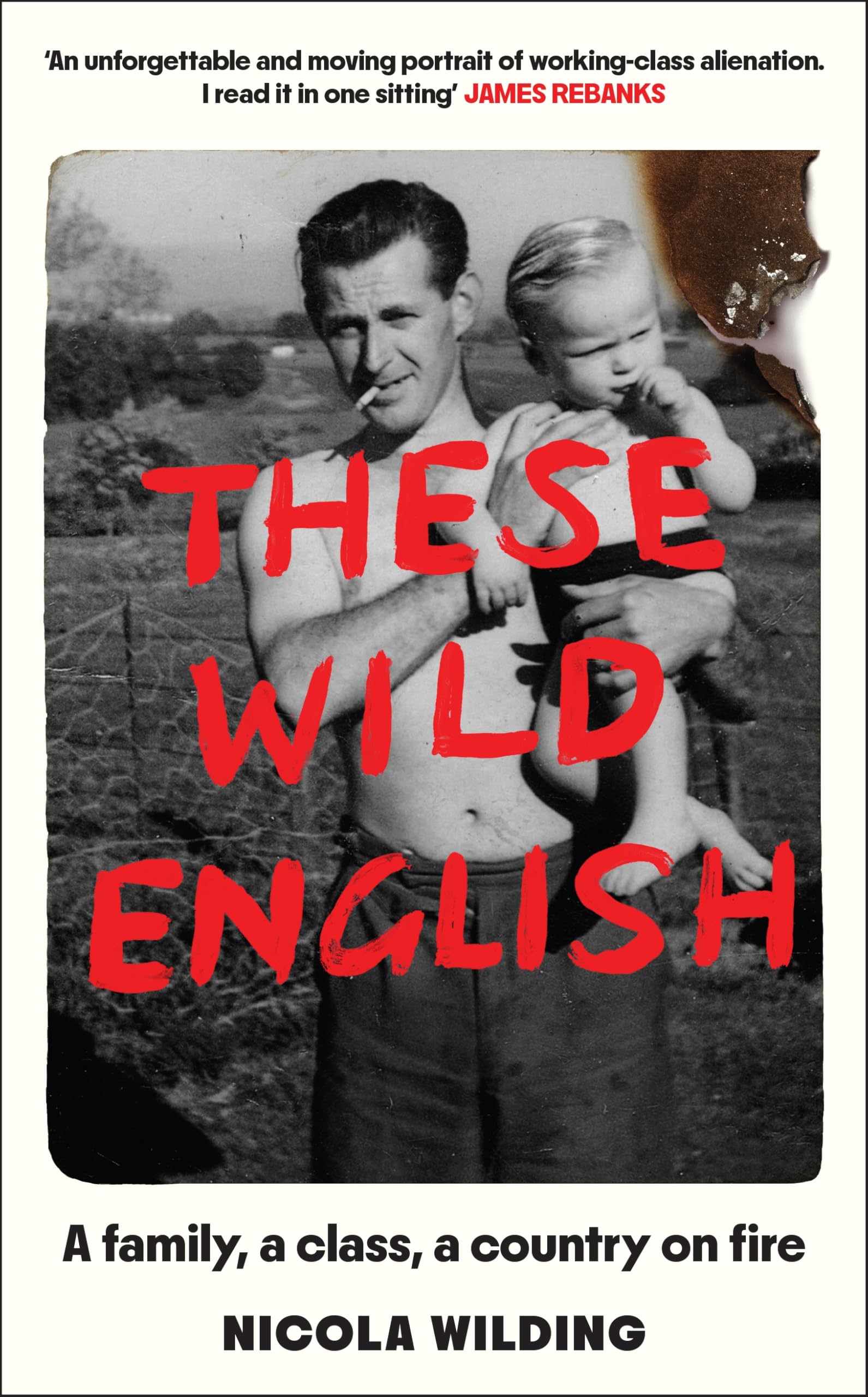 These Wild English: A family, a class, a country on fire by Nicola Wilding 1