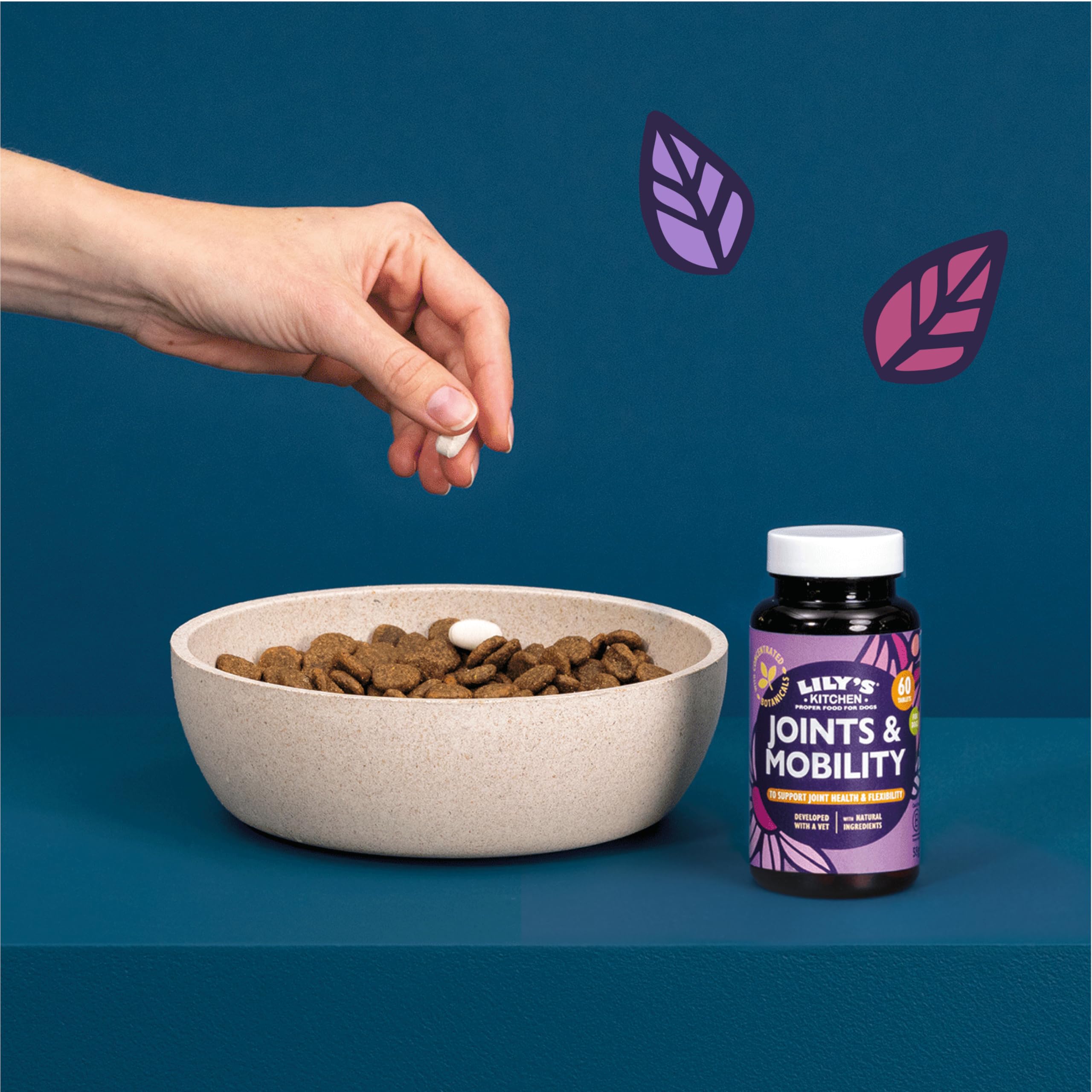 Lily's Kitchen Joints & Mobility Supplements for Adult & Senior Dogs | Glucosamine & Chondroitin 4