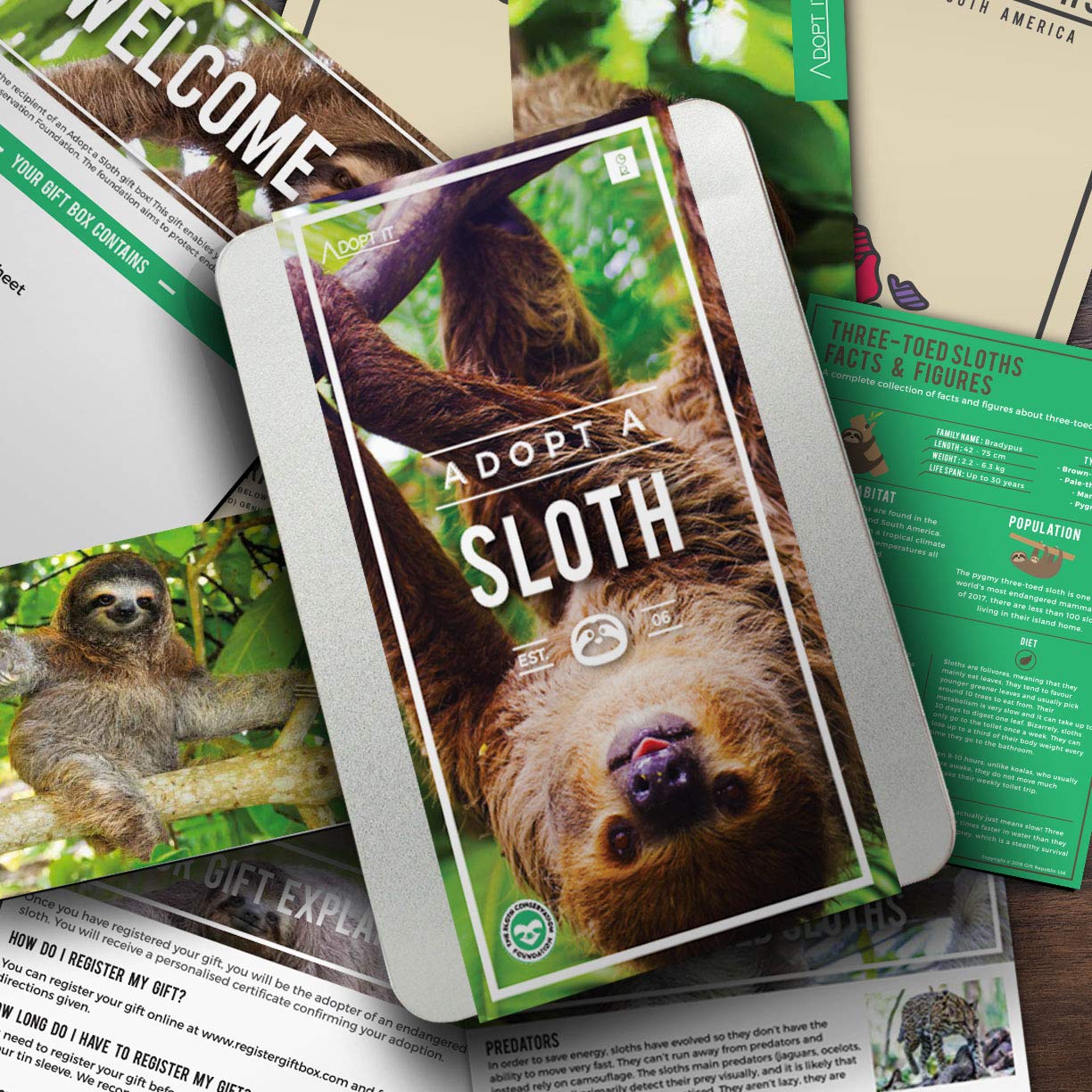 Gift Republic Adopt a Sloth Gift Box | 12-Month Adoption | Includes Poster & Certificate 2