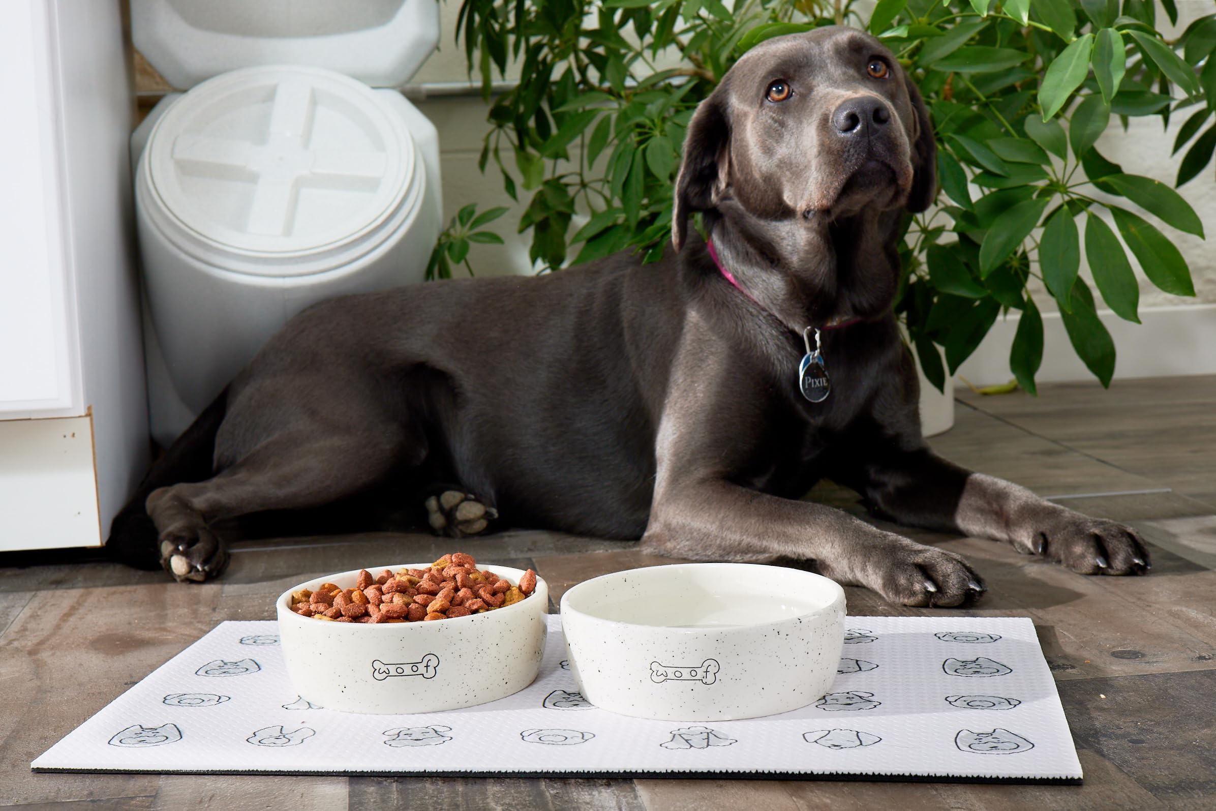 Pearhead Woof Ceramic Pet Bowl - 3 Cup Capacity | Durable | Dishwasher Safe 6