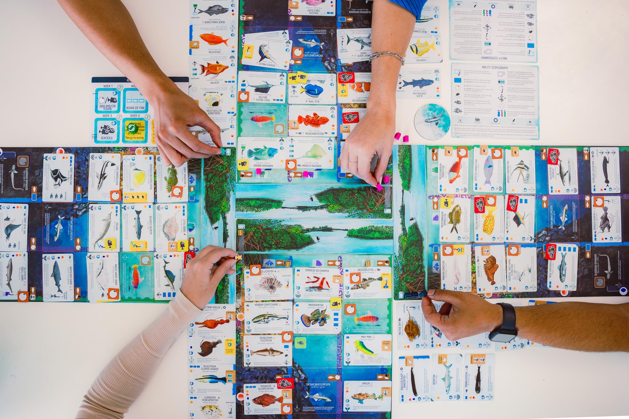 Stonemaier Games Finspan Board Game | Ages 10+ | 1-5 Players | 45-60 Minutes 8