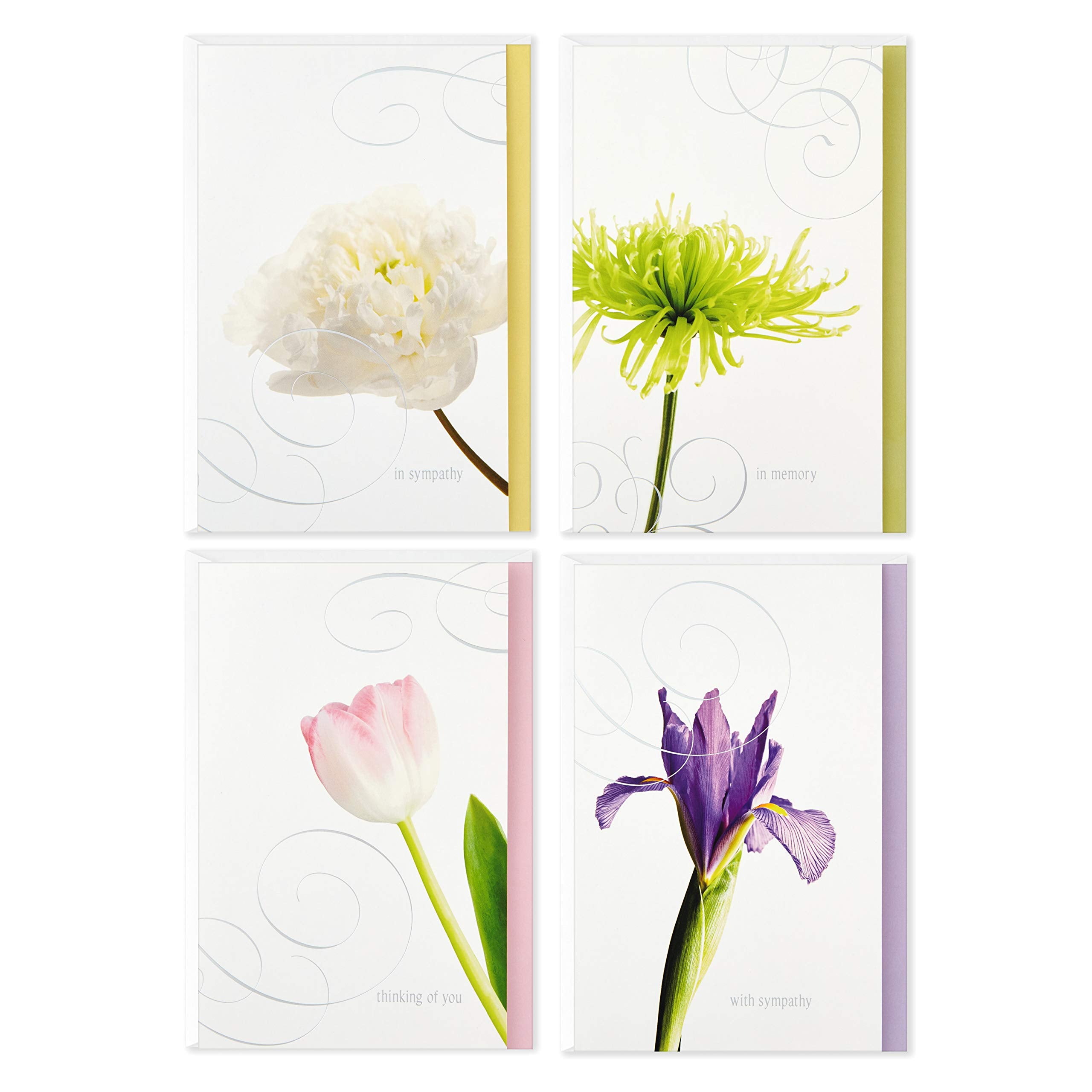Hallmark Sympathy Greeting Cards Assorted Pack - 12 Cards with Envelopes | FSC Certified