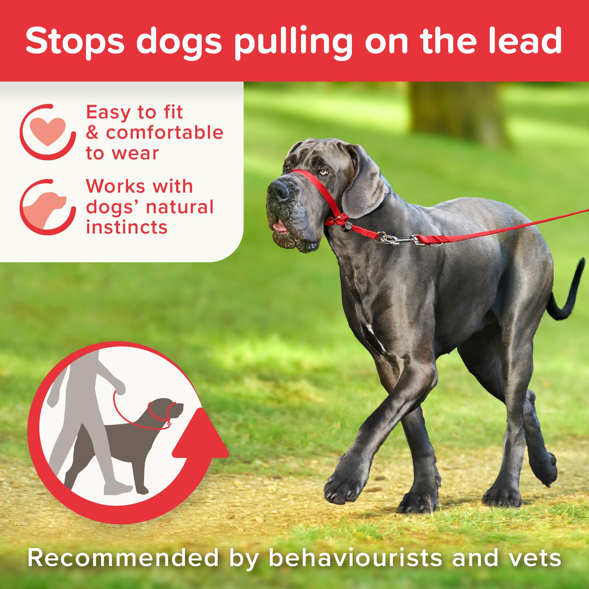 Beaphar Gentle Leader Headcollar - Stops Pulling | Large Dogs | Red 5