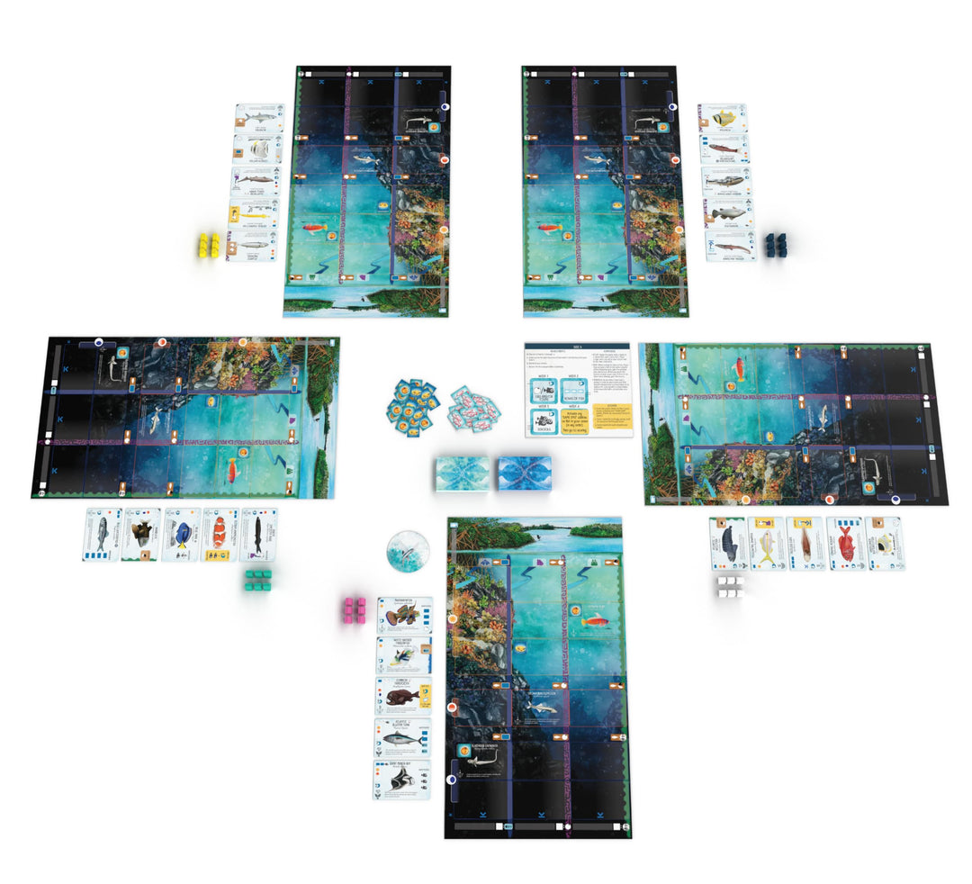 Stonemaier Games Finspan Board Game | Ages 10+ | 1-5 Players | 45-60 Minutes