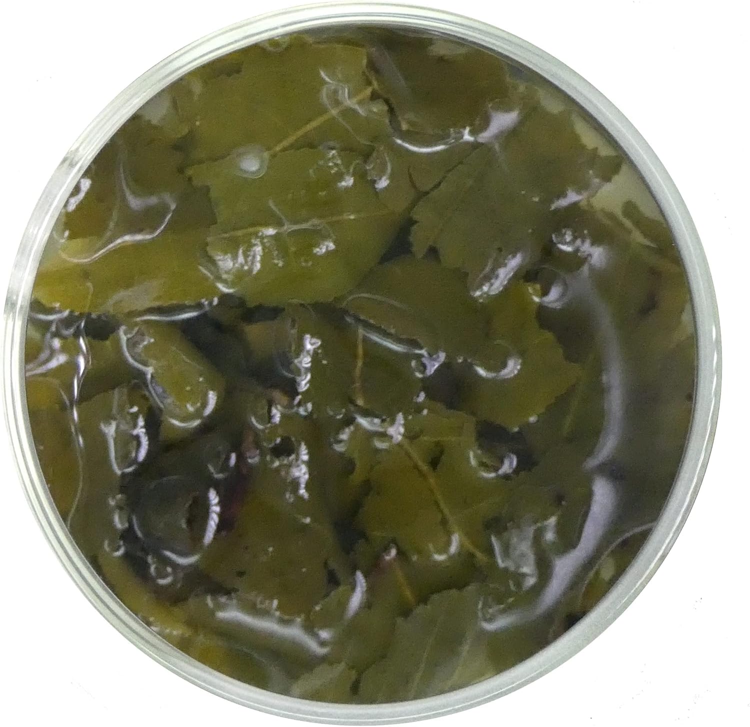 Oolong Loose Leaf Tea - 150g Premium Chinese Oolong Tea 3