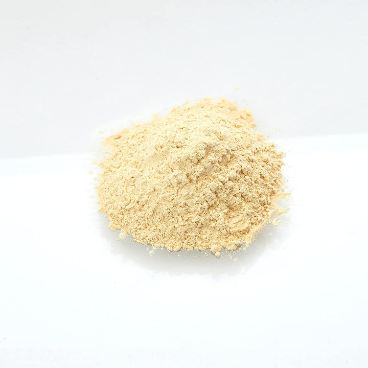 Old India Garlic Powder 250g