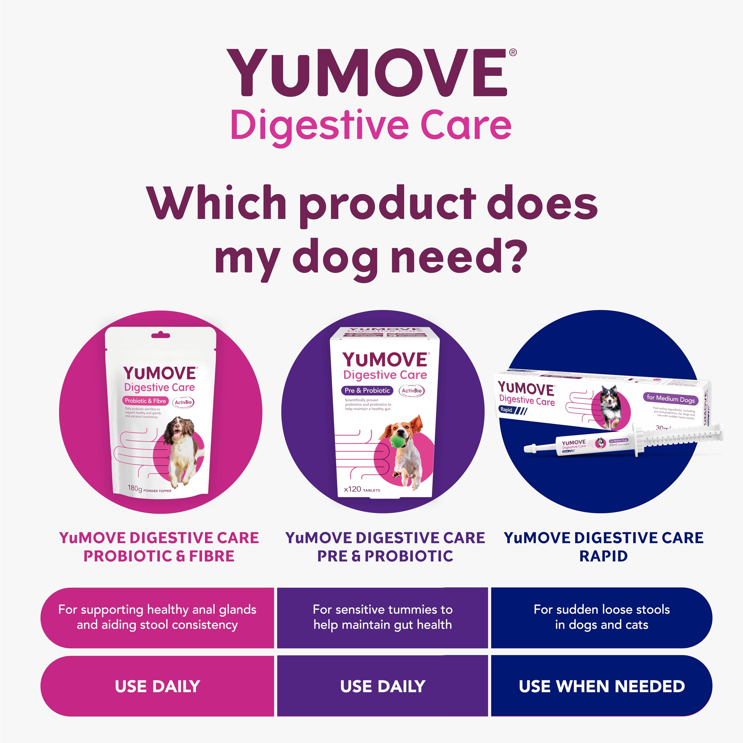 YuMOVE Digestive Care Rapid Pre and Probiotic Paste for Dogs Gut Health | 30ml 5