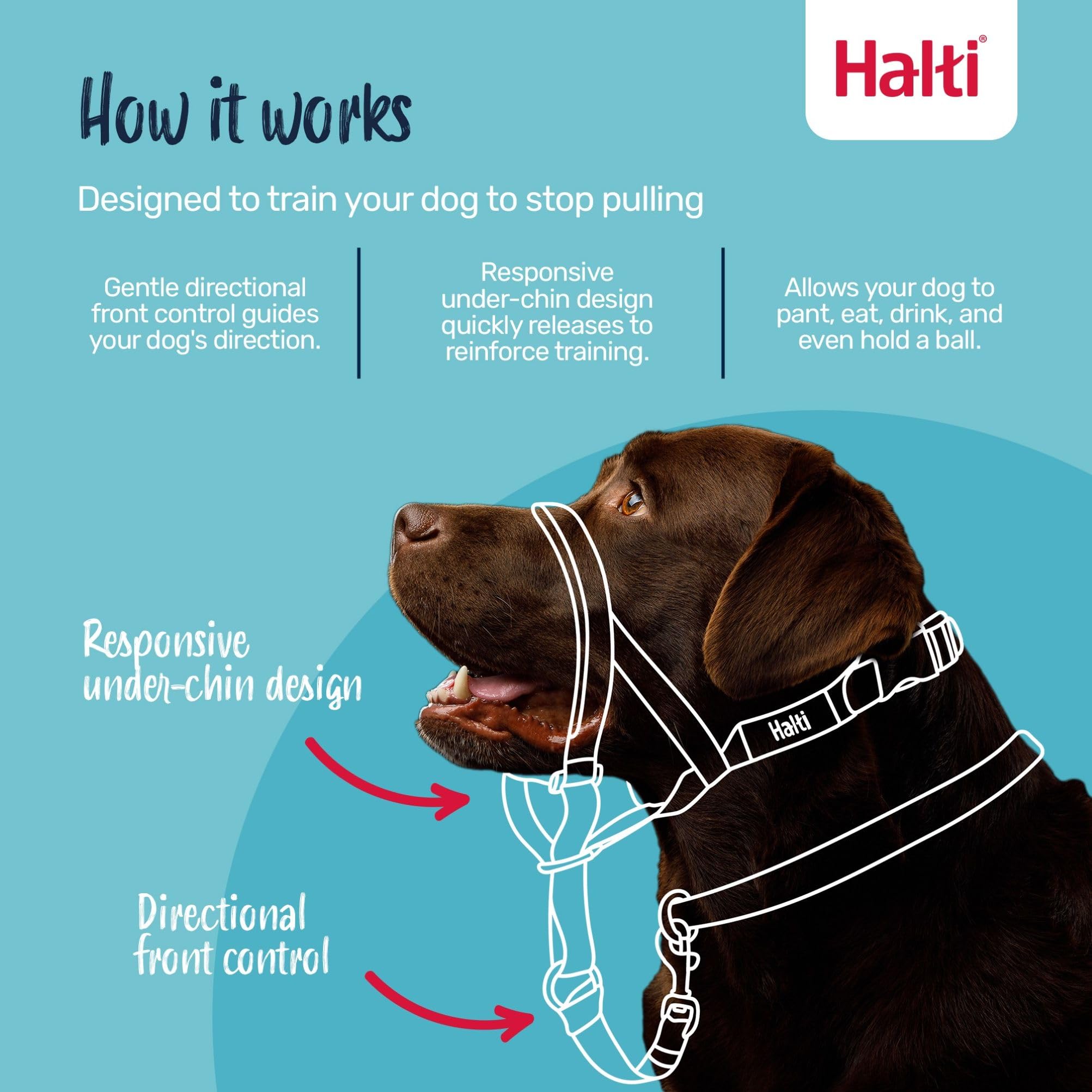 Halti Headcollar - Stops Pulling for Large Dogs | Reflective | Size 4 Desert Sand