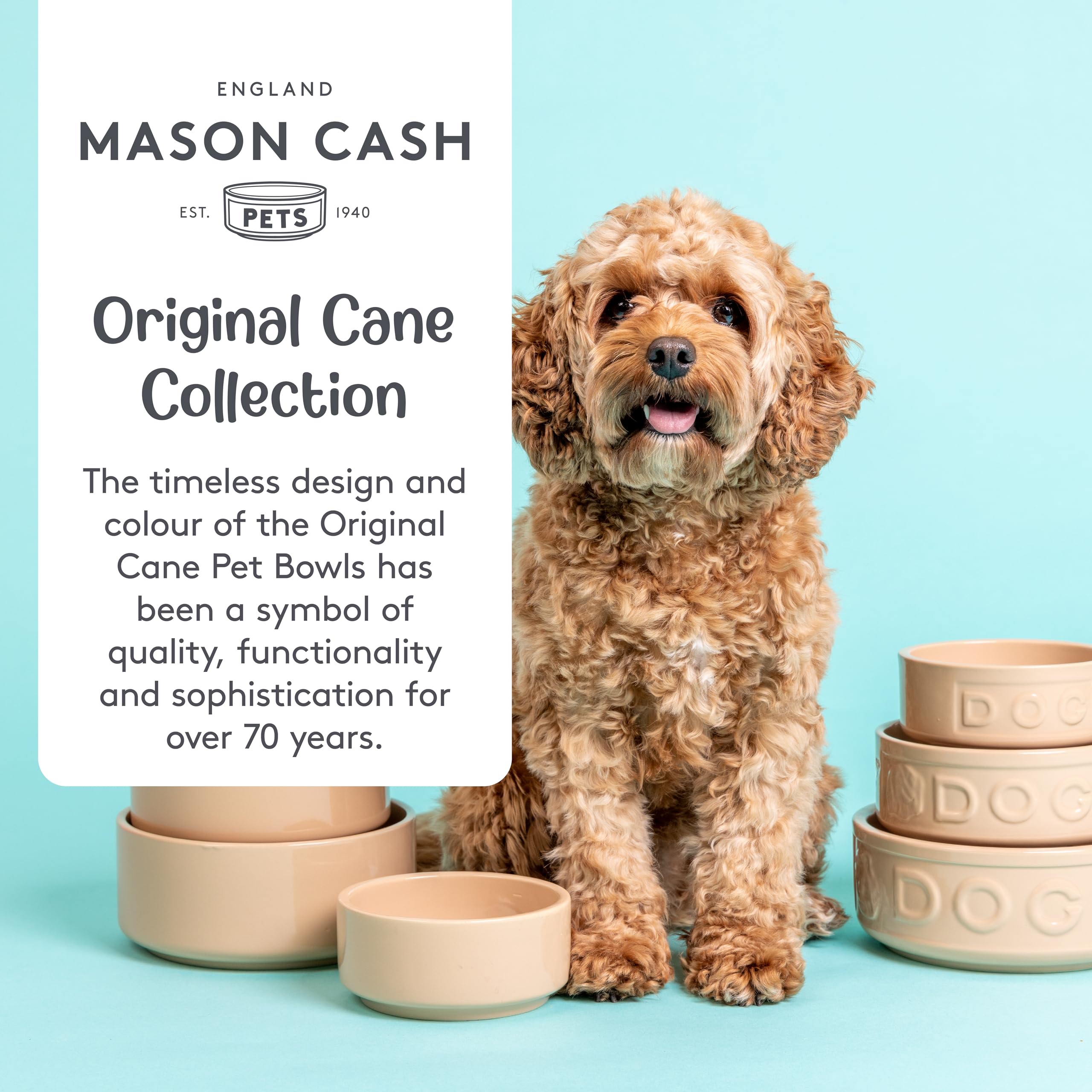 Mason Cash Cane Ceramic Dog Bowl - 400ml Capacity | Durable Stoneware | Ideal for Small Dogs 4