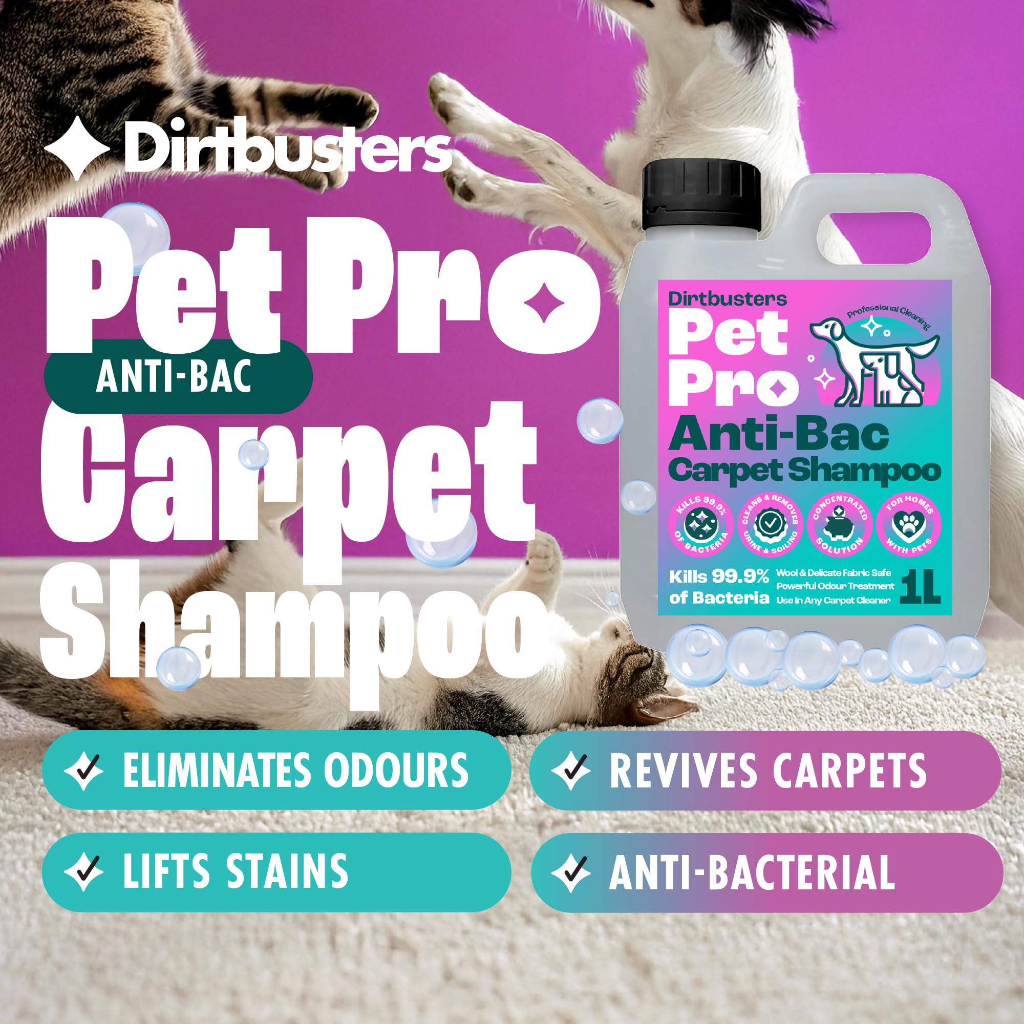 Dirtbusters Pet Pro Antibacterial Carpet Cleaner Shampoo - Kills 99.99% Bacteria | 1L Liquid 3