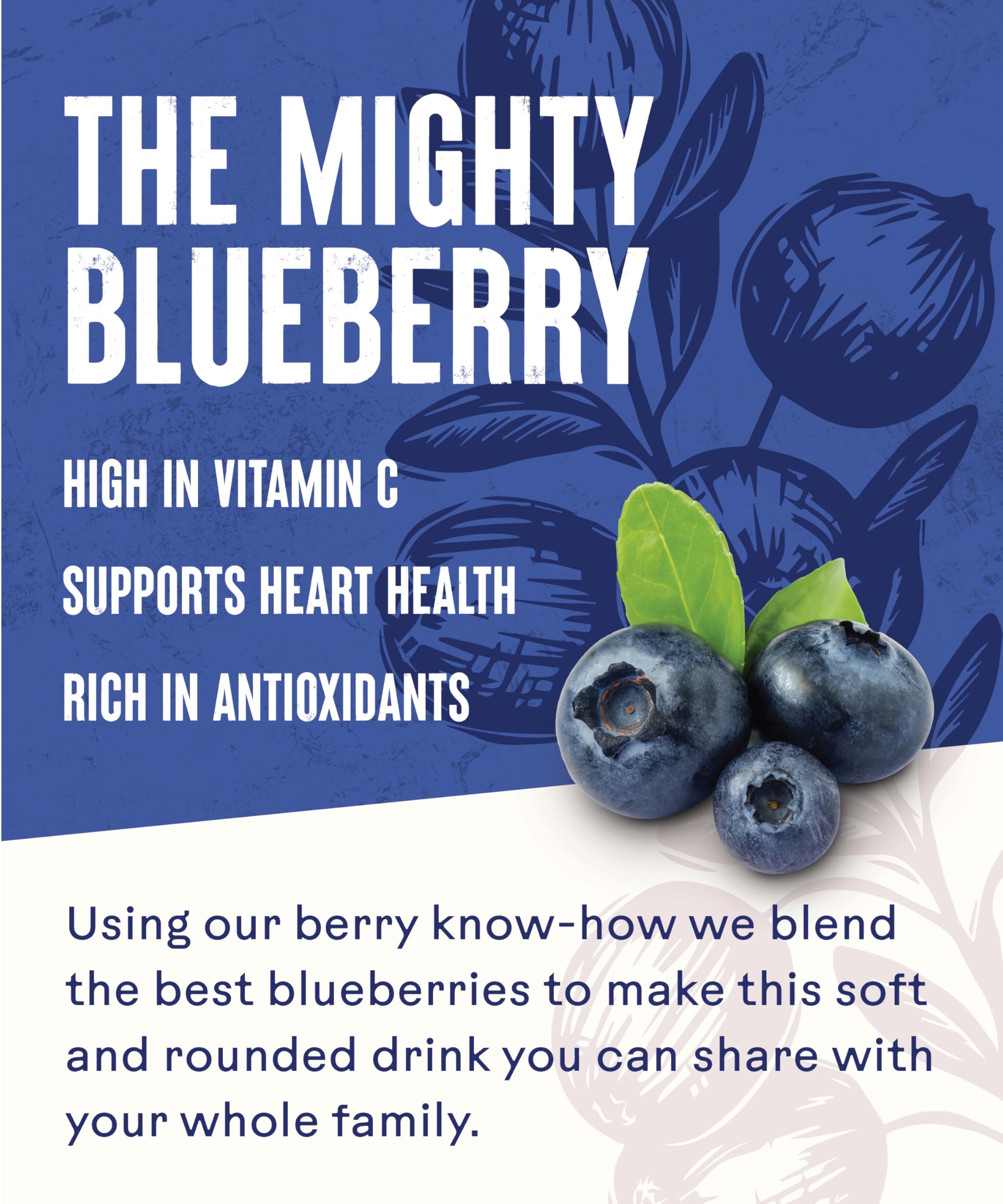 Ocean Spray Blueberry Fruit Juice Drink - 1L Carton | Rich in Vitamin C | No Artificial Additives 4