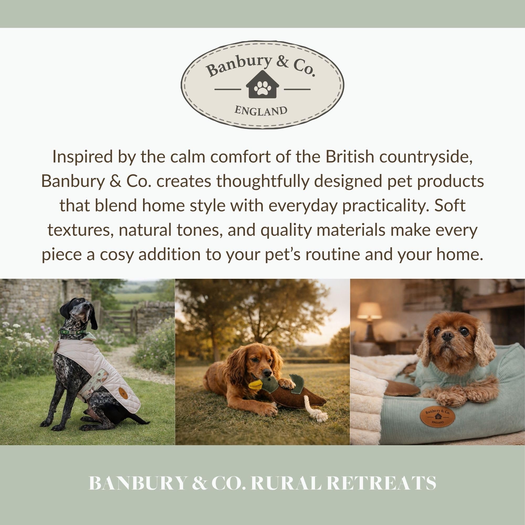 Banbury & Co Ceramic Dog Bowl - 750ml Capacity, Dishwasher Safe, Tip-Resistant 8