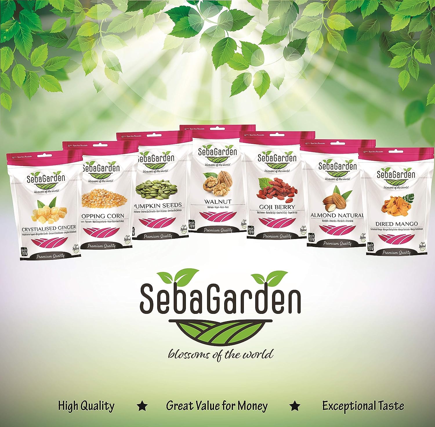 Seba Garden Hulled Sunflower Seeds - Raw Unsalted | 1kg (2.2 lb) Grade A 5