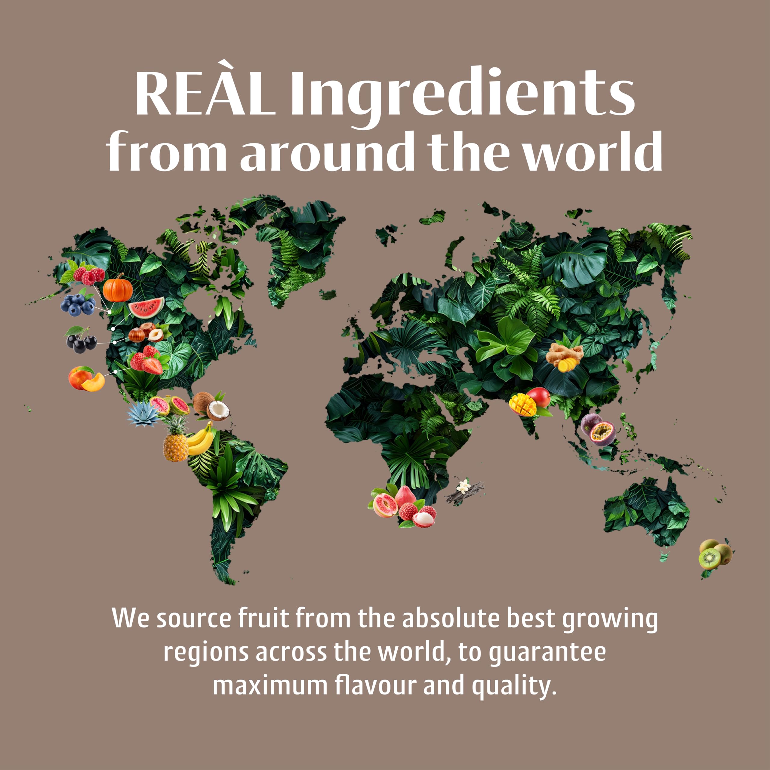 Reàl Infused Exotics - Ginger Puree Infused Fruit Syrup | 500ml Squeezy Bottle 5