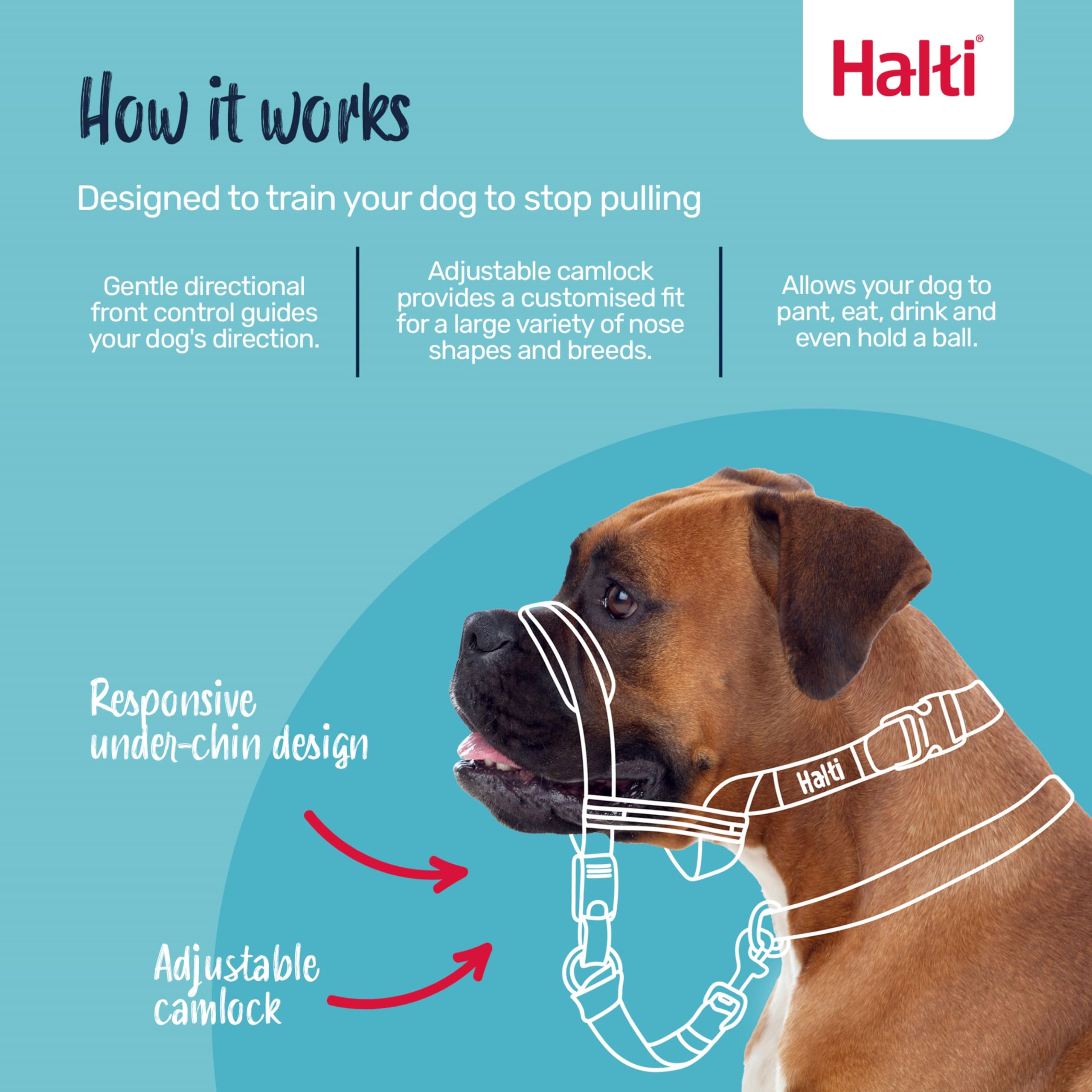 Halti Optifit Headcollar - Stops Pulling, Adjustable Fit | Size Large, Black