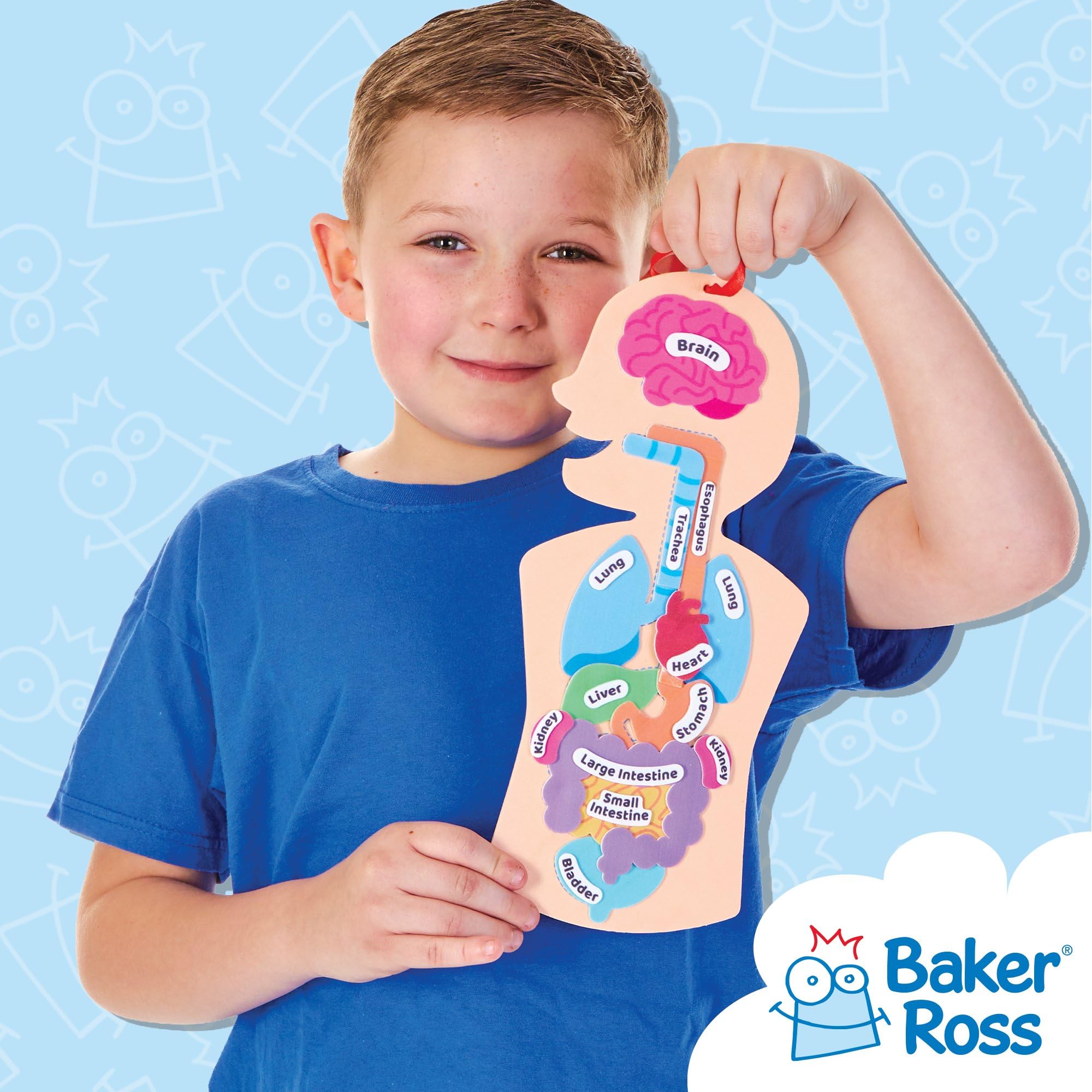 Baker Ross Human Body Kit - STEM Learning Aid for Anatomy, Pack of 4 | Self-Adhesive Foam | 31.5cm Tall 4