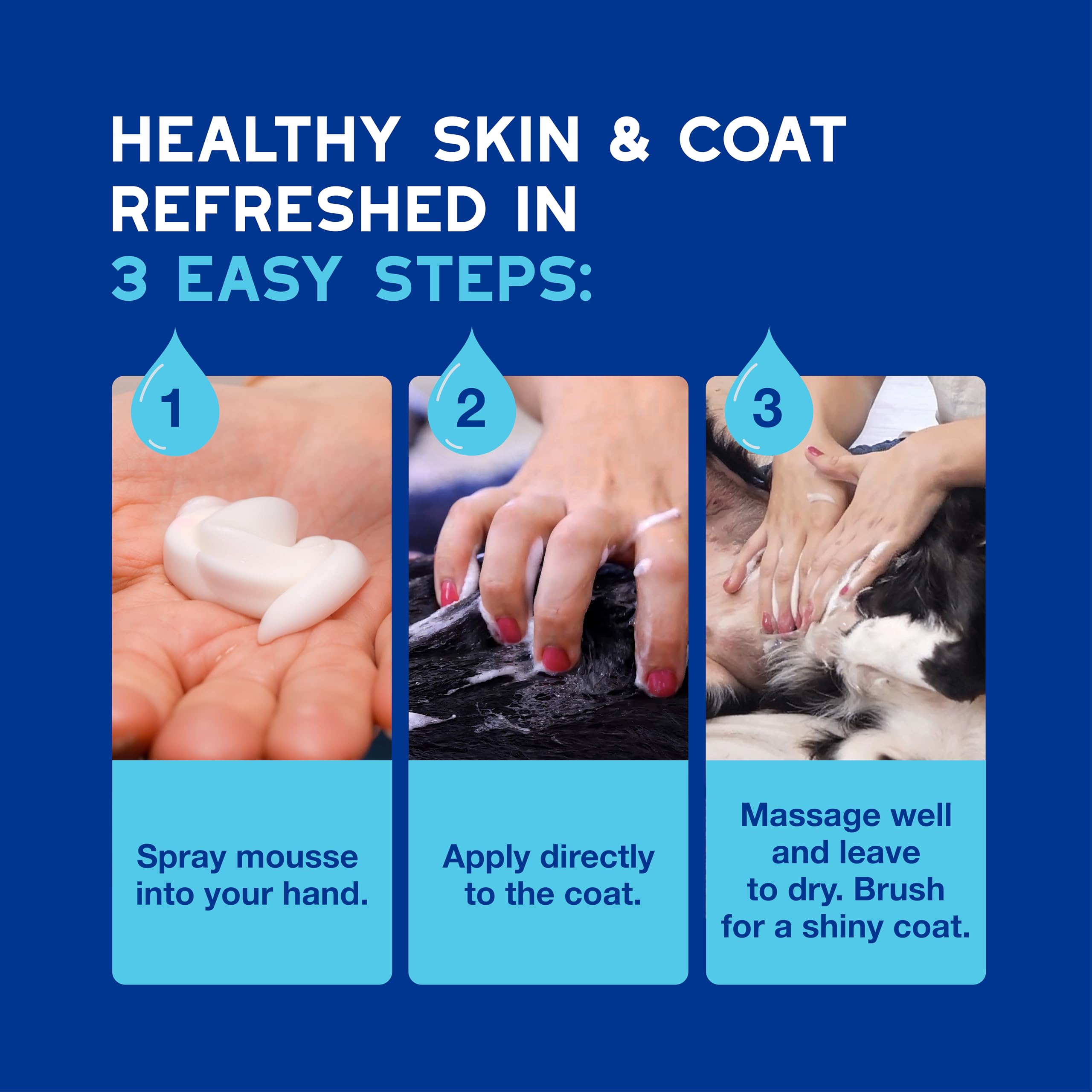 Douxo Skin & Coat SPA Quick Refresh Leave-on Mousse for Dogs - Waterless Cleansing, 150 ml 6