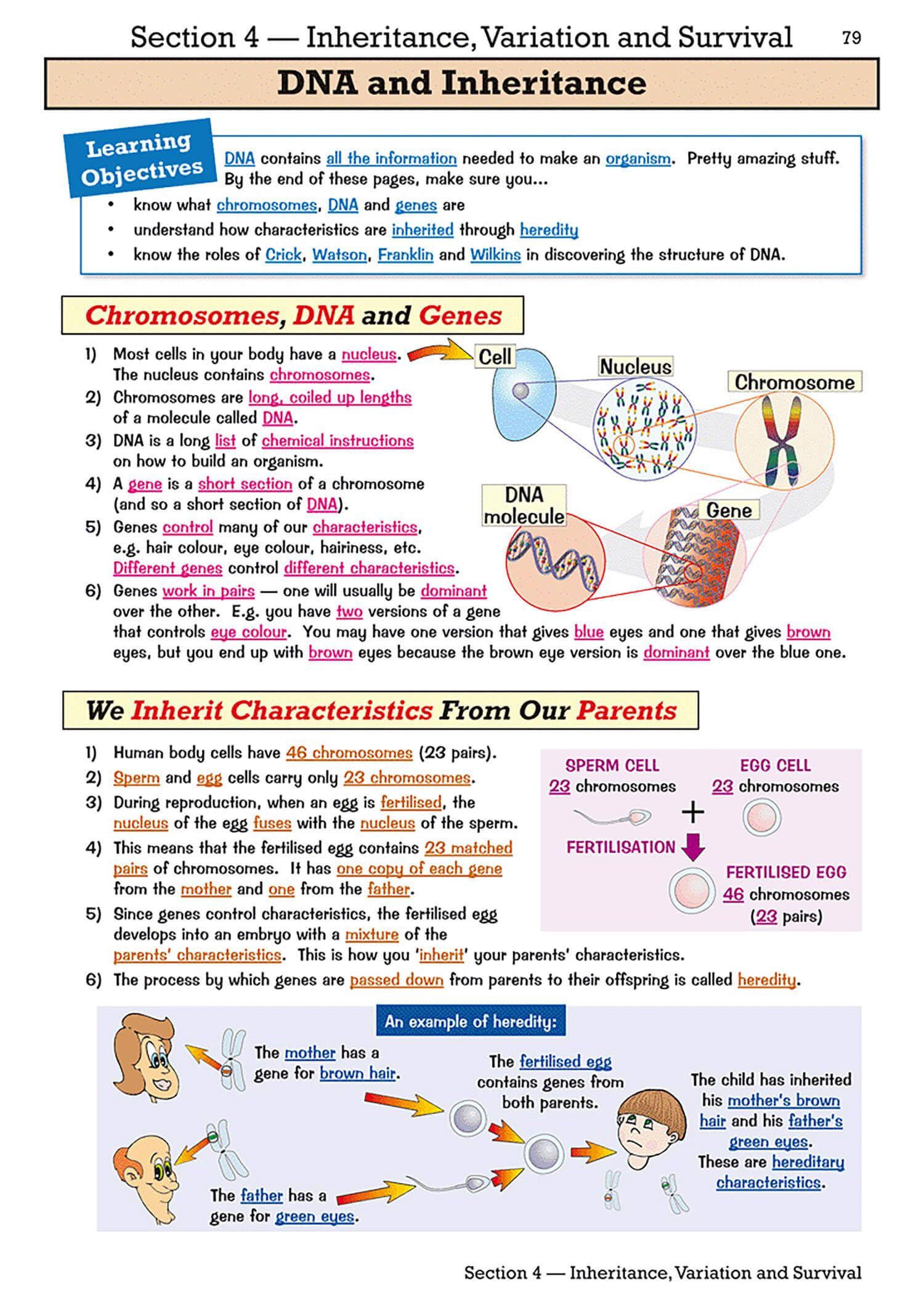 CGP KS3 Biology Study & Question Book - Higher Level | Ages 11-14 | Paperback 2