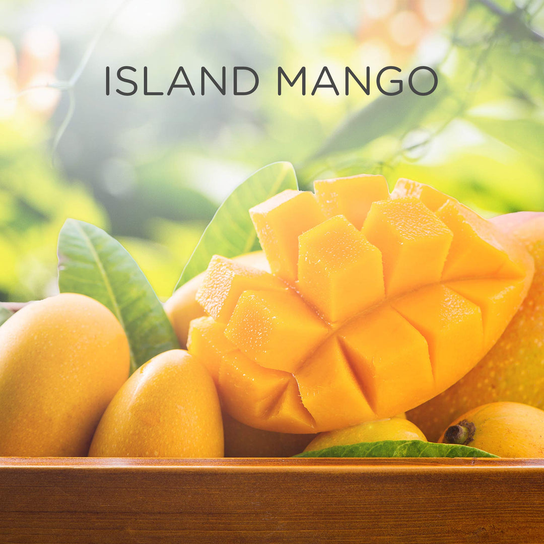 Air Wick Island Mango Air Freshener Refill for Electrical Plug-In Diffuser (19 ml)