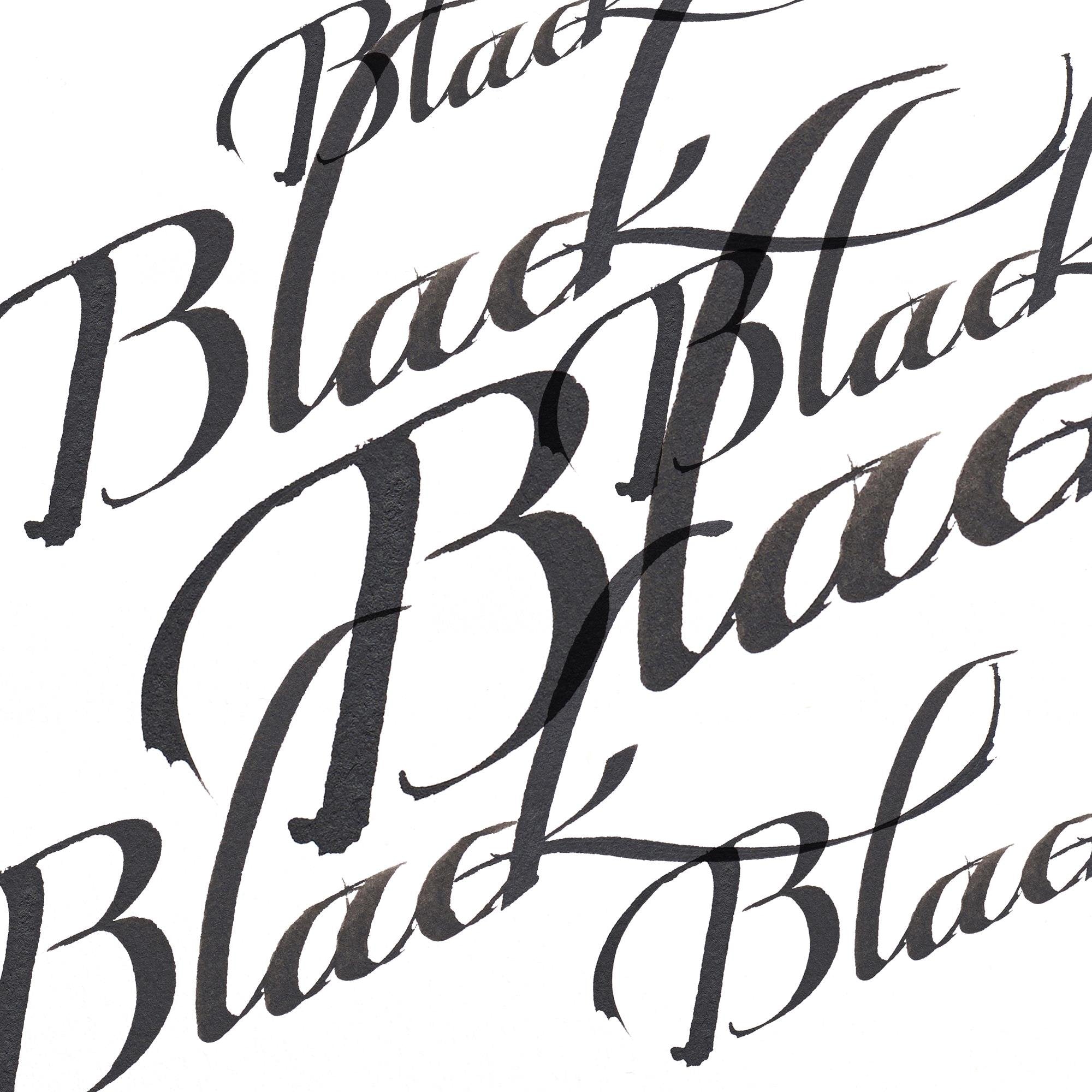 Winsor & Newton Calligraphy Ink Bottle - Black | 30 ml | Non-Fading 5