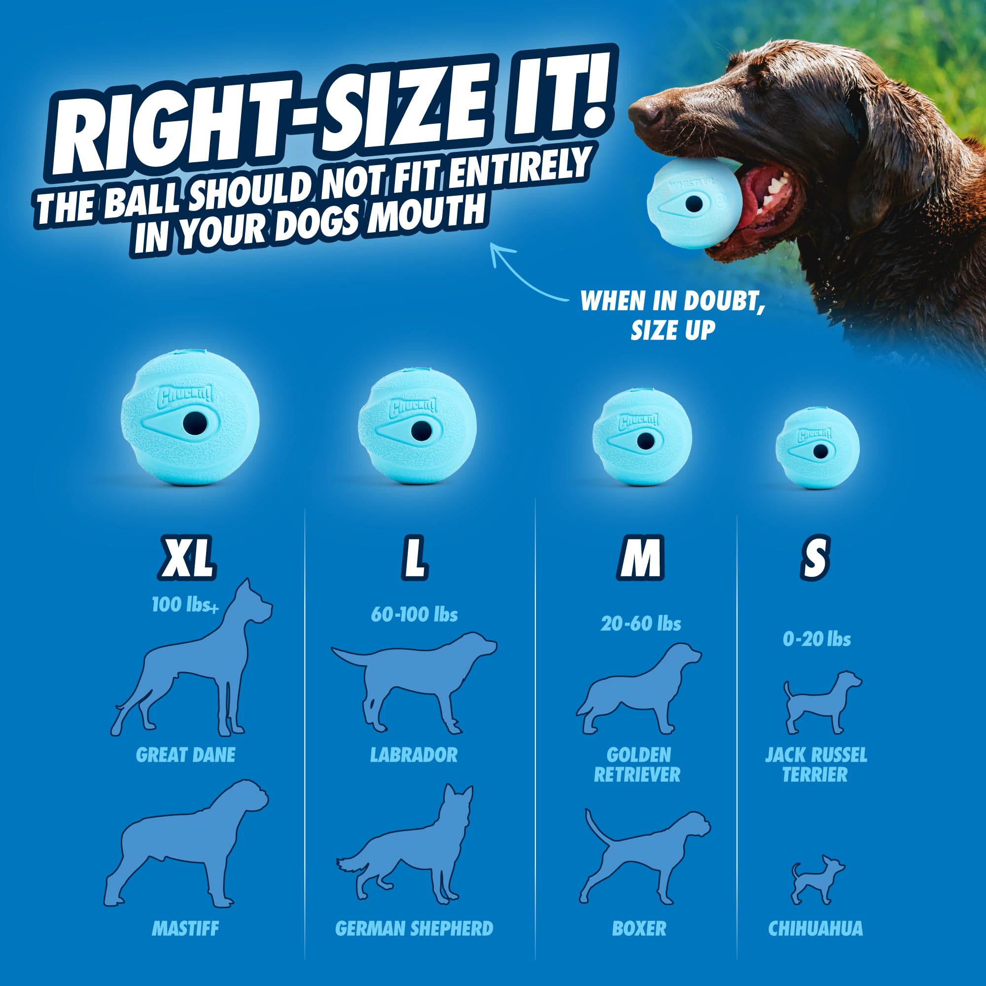 Chuckit! The Whistler Ball - Durable Rubber Dog Toy with Whistle | Small Size (Pack of 2) 6