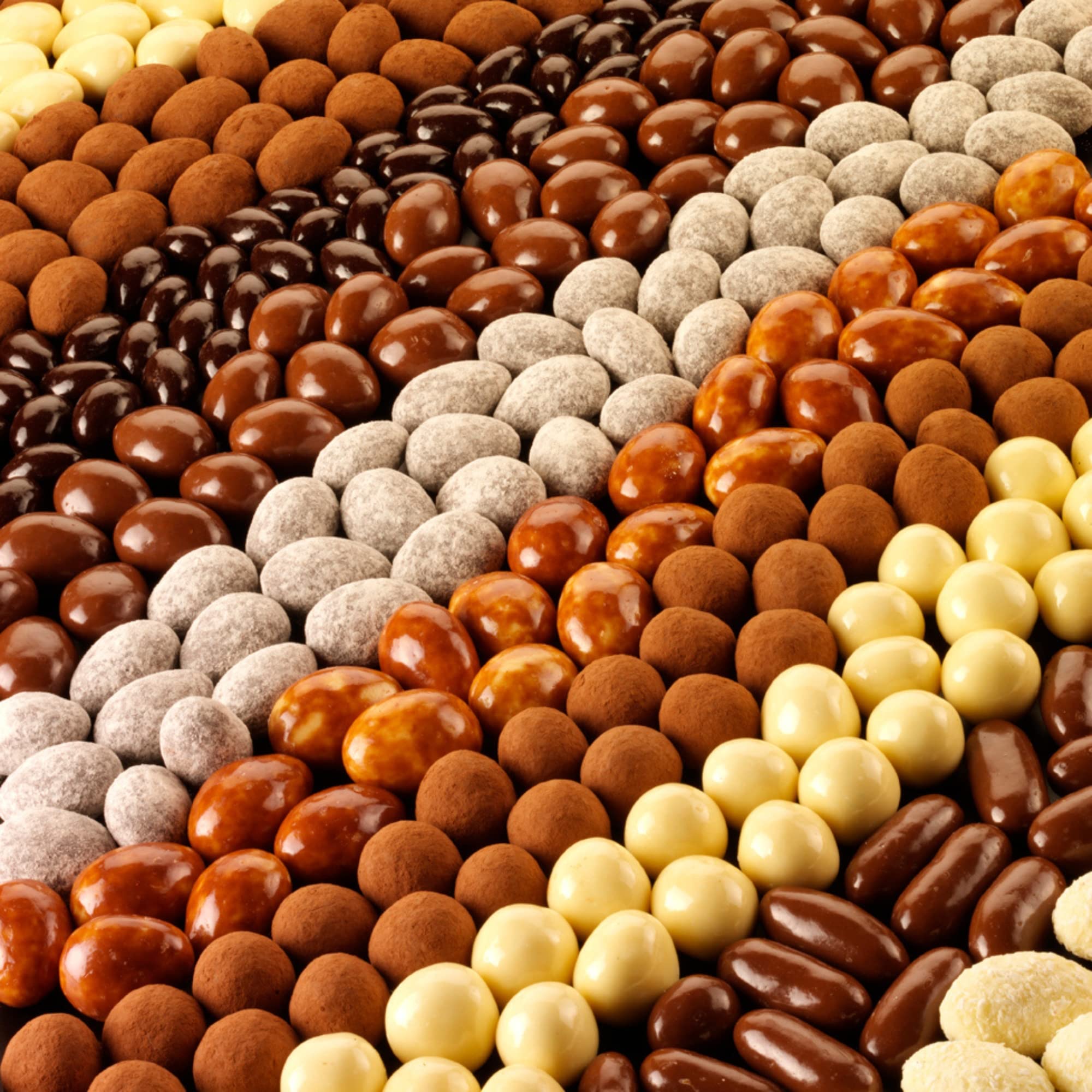 Rita Farhi Milk and Dark Chocolate Brazil Nuts Luxury Gift Box 210g 12