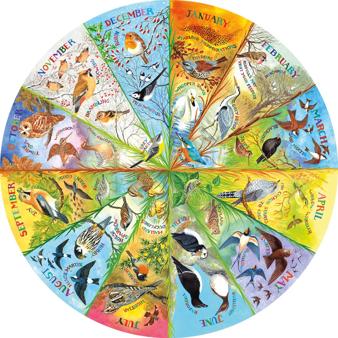 Gibsons RSPB Birds of the Year 500 Piece Circular Jigsaw Puzzle | 49 cm Diameter 3