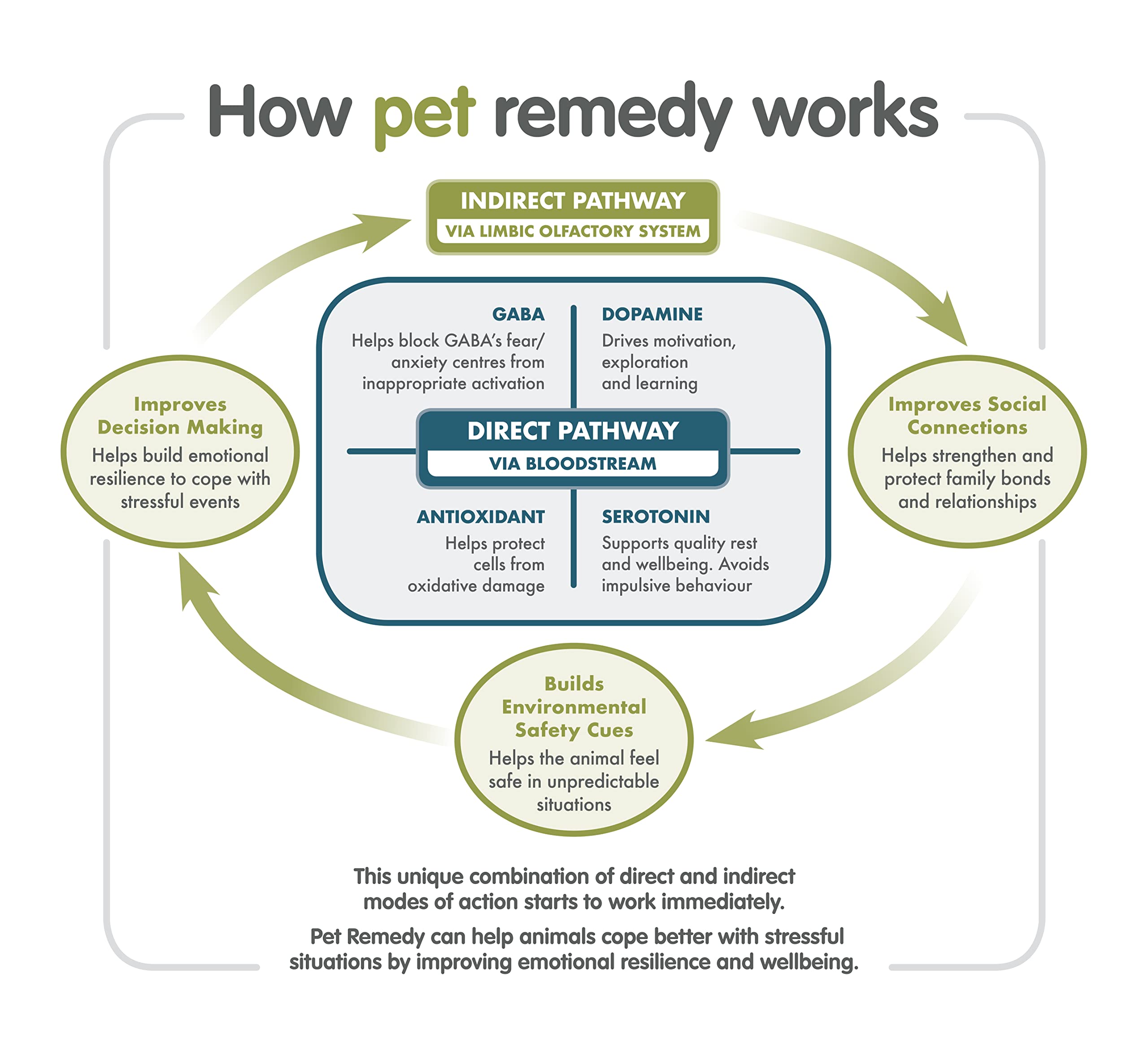 Pet Remedy Calming Spray - Clinically Proven Anxiety Relief for All Pets | 75ml | Lasts 2-6 Hours