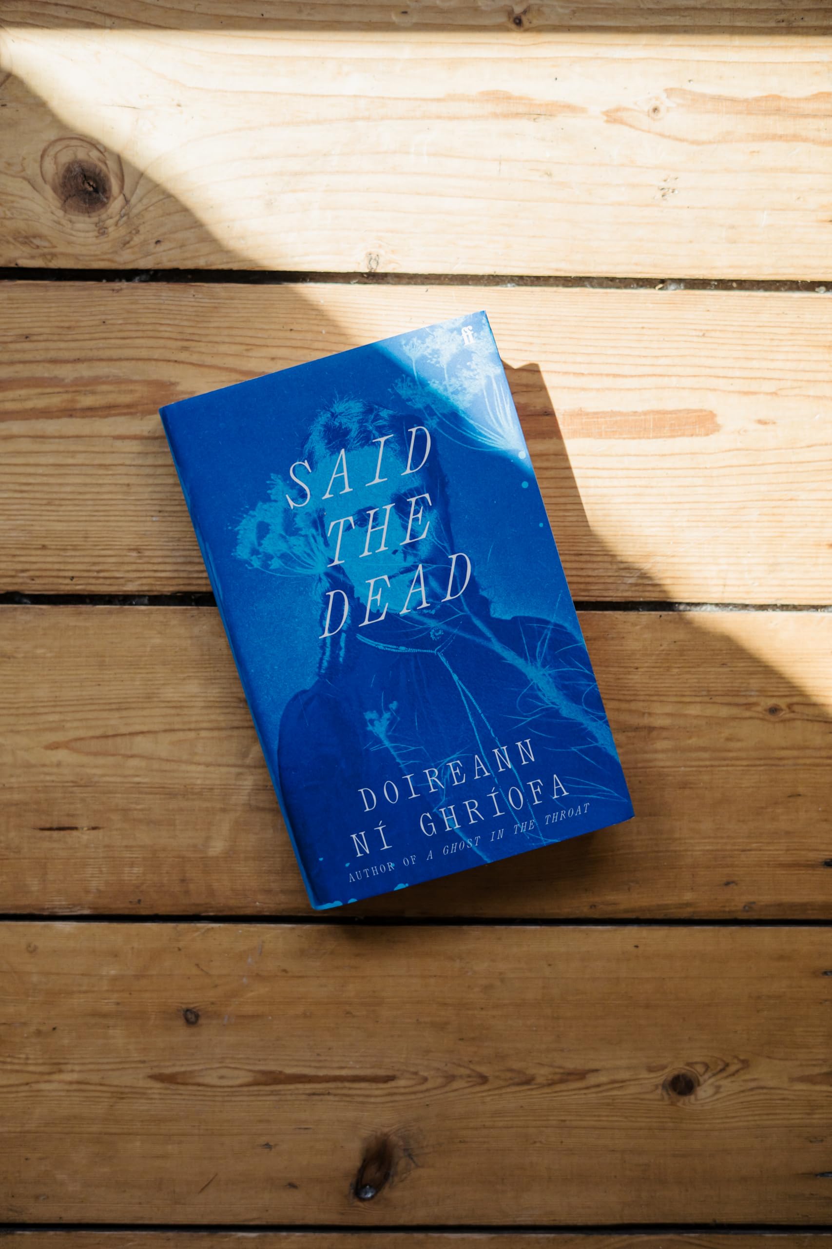 Doireann Ní Ghríofa - Said the Dead | Social & Urban History Biography [Hardcover] 3