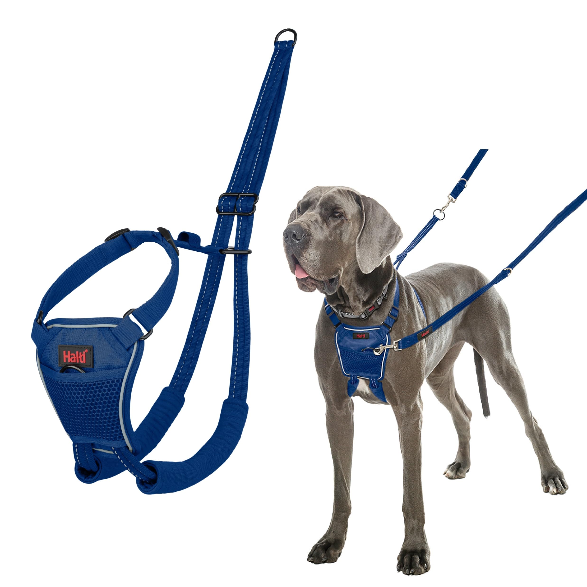 Halti No Pull Harness - Front Control Steering & Lifting Action | Size L | Cobalt Blue
