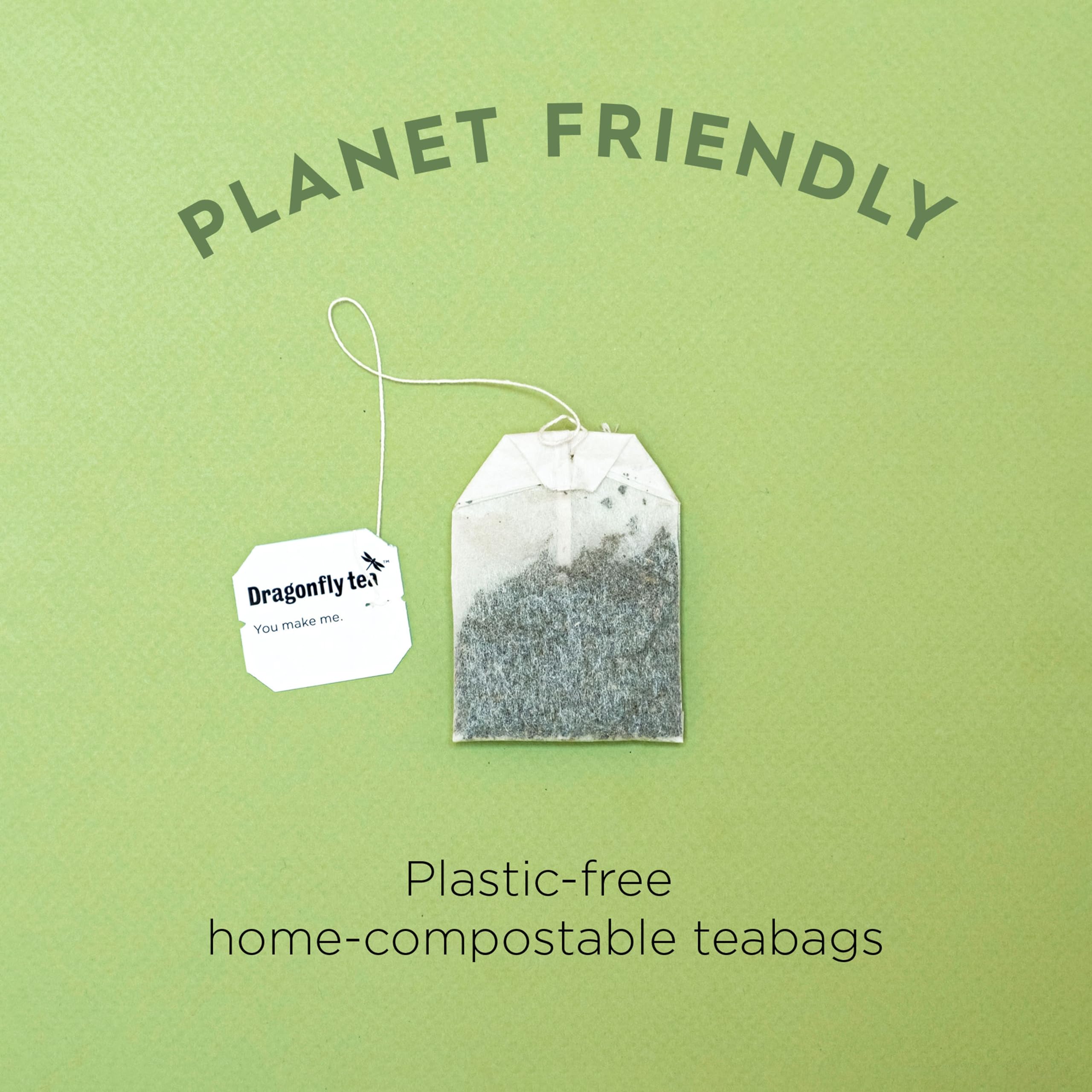 DRAGONFLY Pure Green Mountain Organic Green Tea Bags - 80 Count (4 x 20 Bags) | Antioxidant Rich 5