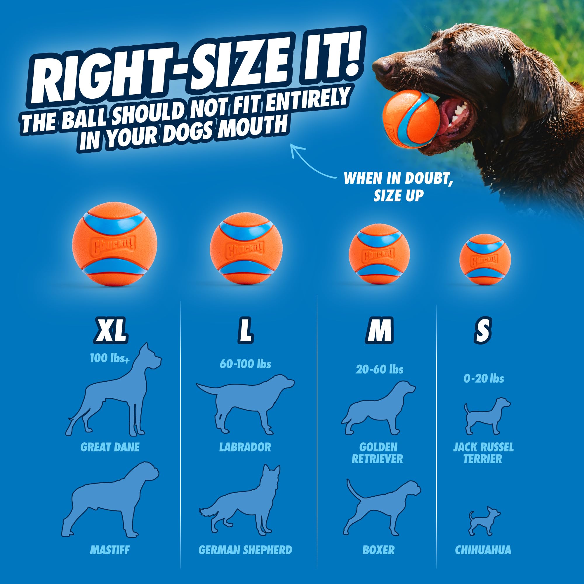Chuckit! Fetch Medley Gen 3 Medium Dog Balls - Durable Rubber, Lightweight, Multi-Color Pack of 3 4